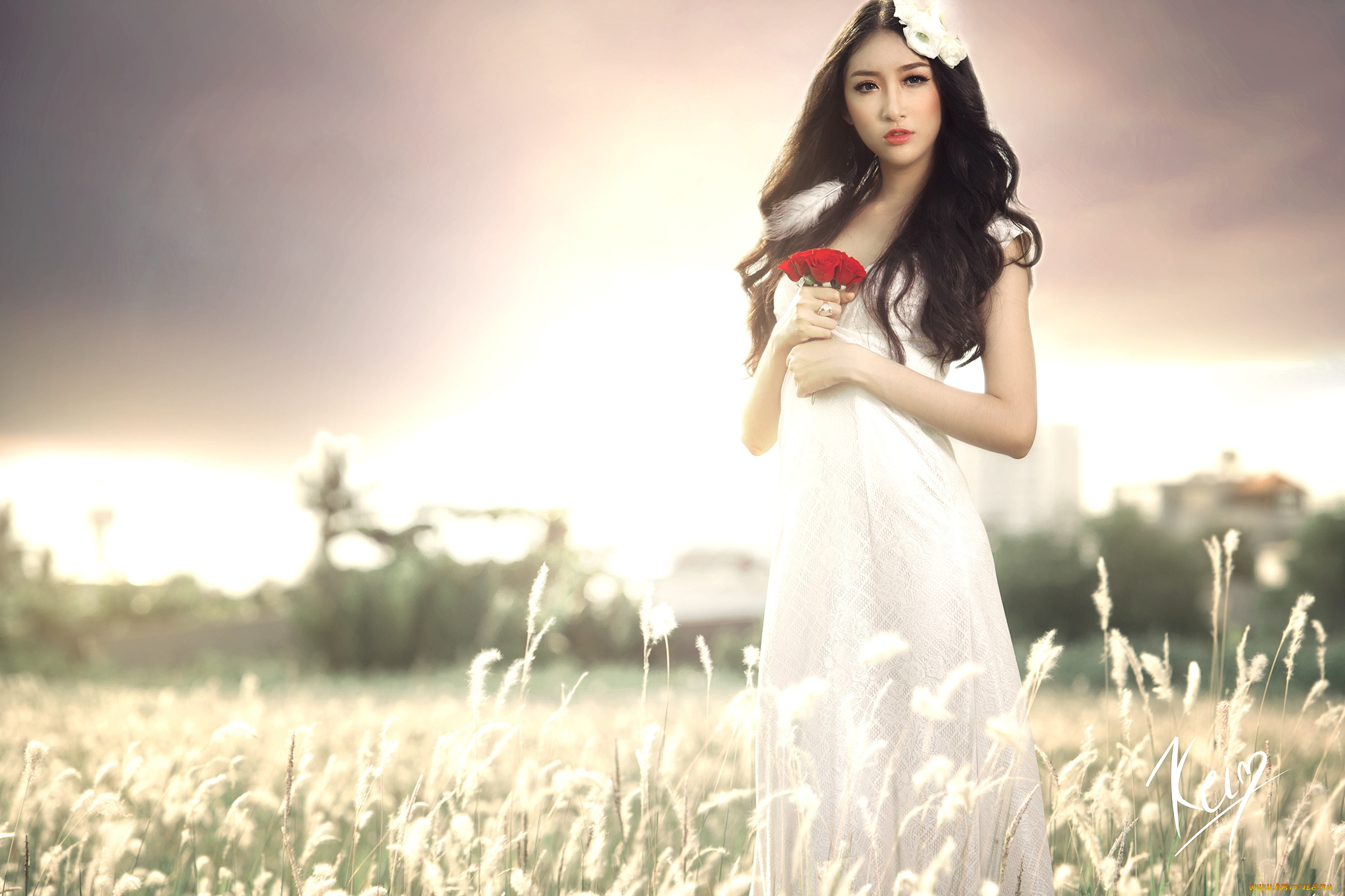 девушки, -unsort, , азиатки, волосы, букет, луг