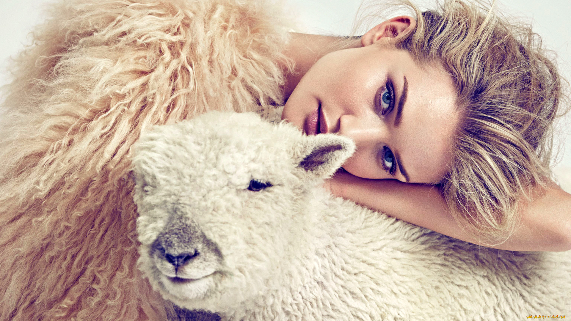 девушки, rosie, huntington-whiteley, rosie, huntington-whiteley, роузи, хантингтон-уайтли, лицо, макияж, модель, девушка, овечка, ягнёнок