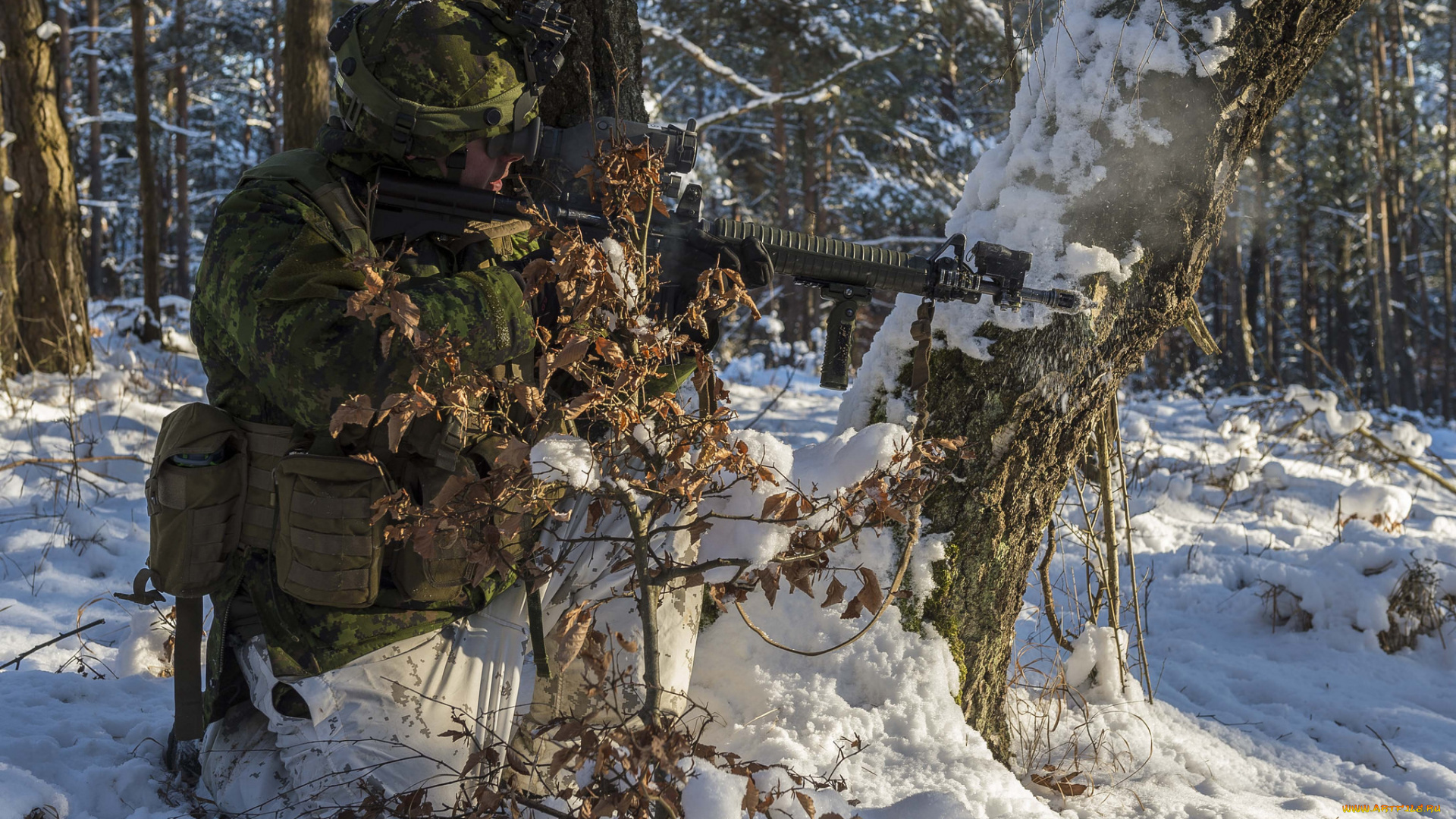 оружие, армия, спецназ, солдат, canadian, army