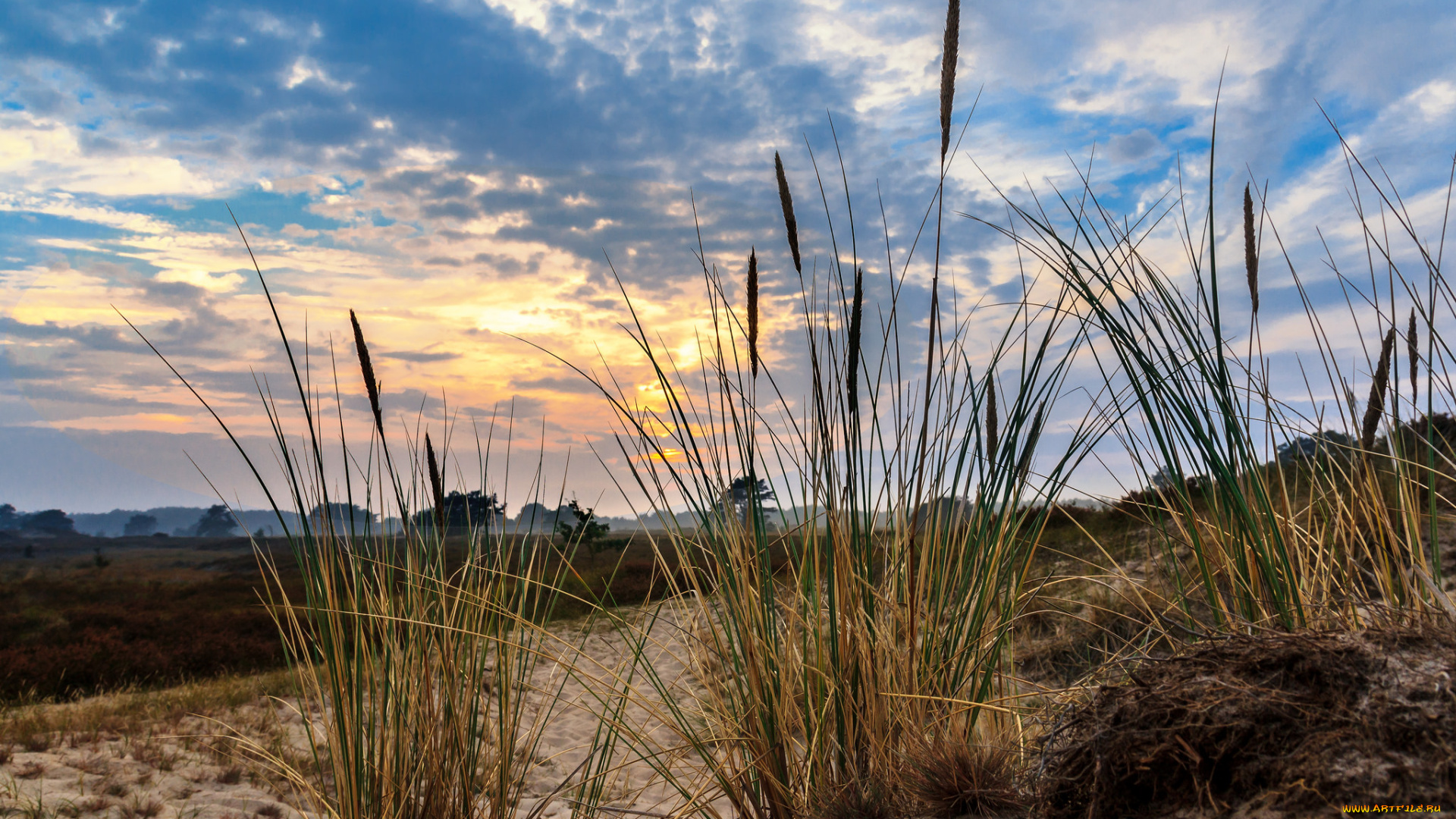 природа, восходы, закаты, рассвет