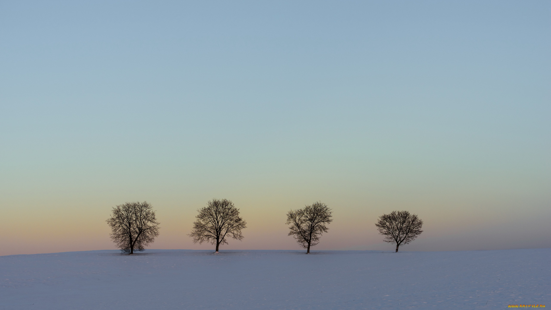 природа, зима, пейзаж, снег, деревья, поле