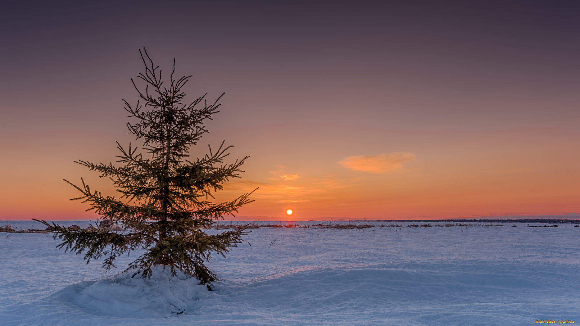 природа, зима, снег