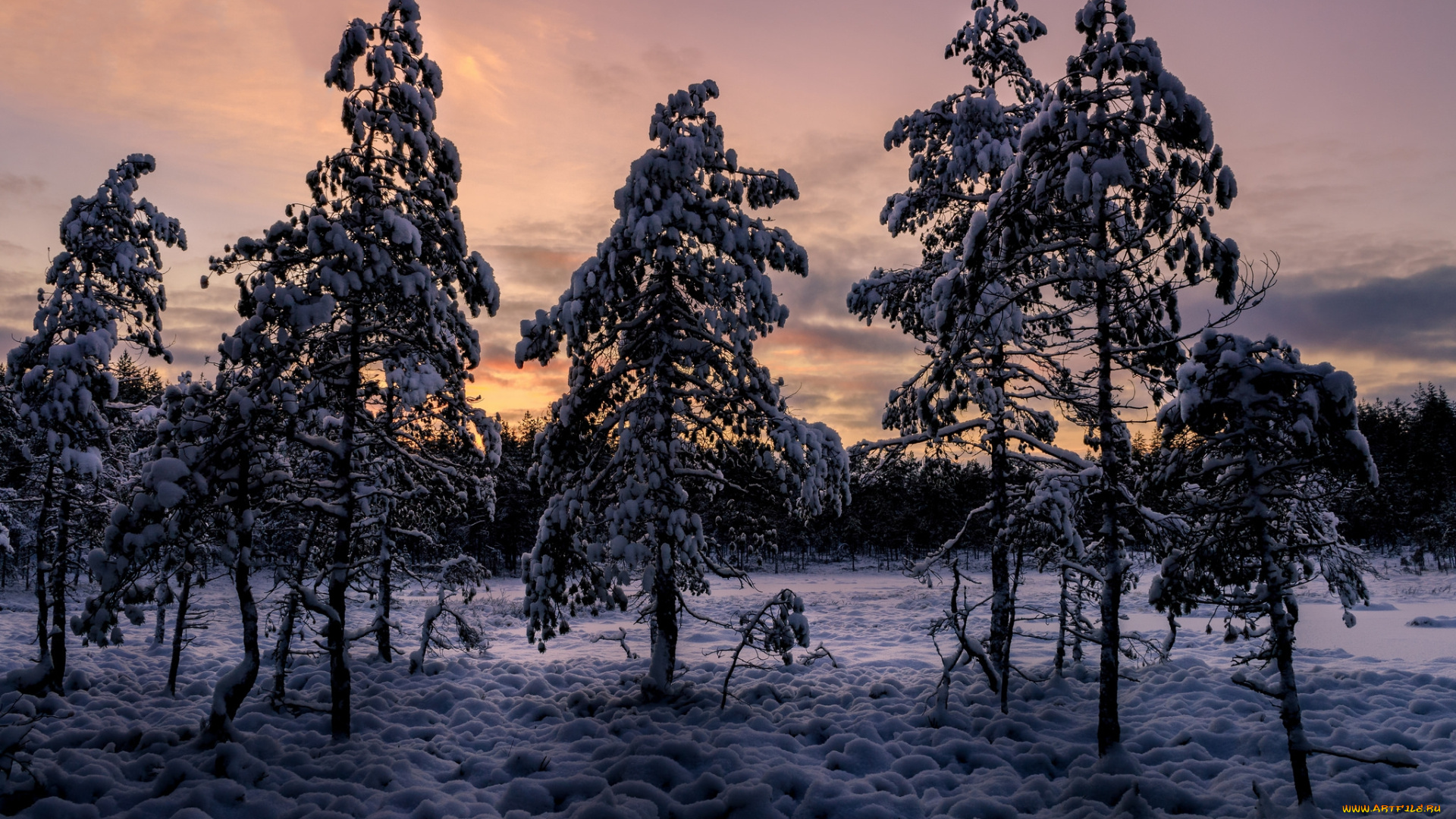 природа, зима, снег