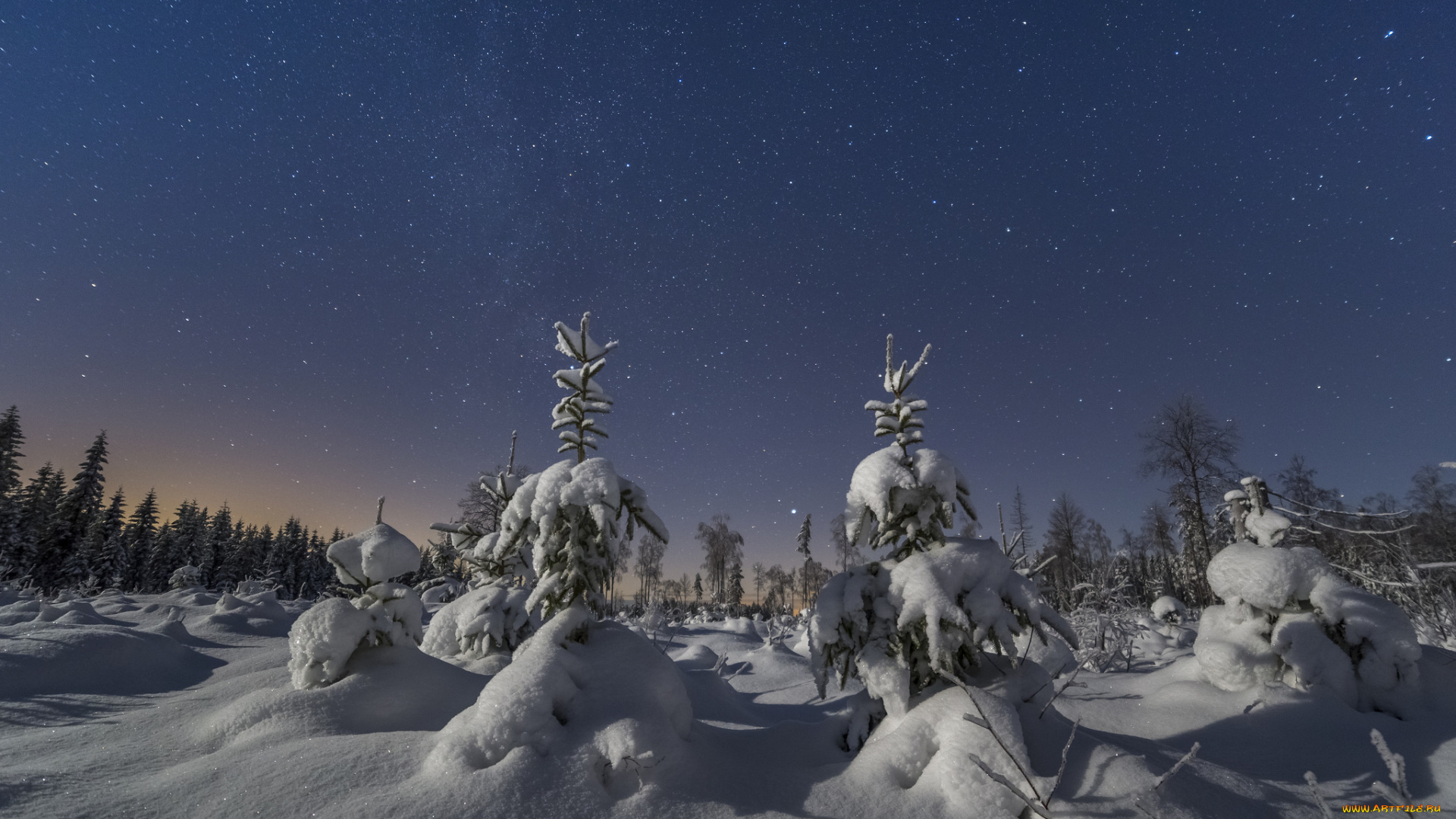 природа, зима, снег