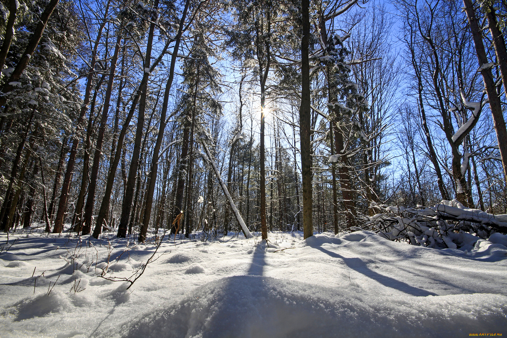 природа, зима, снег