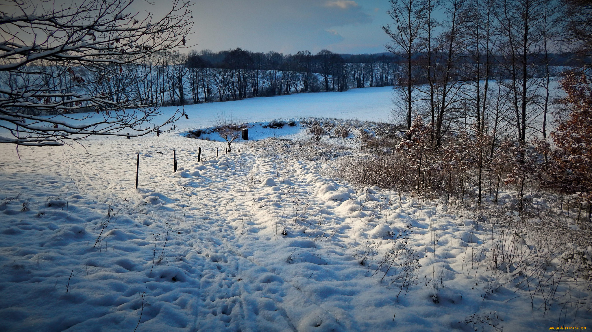 природа, зима, снег