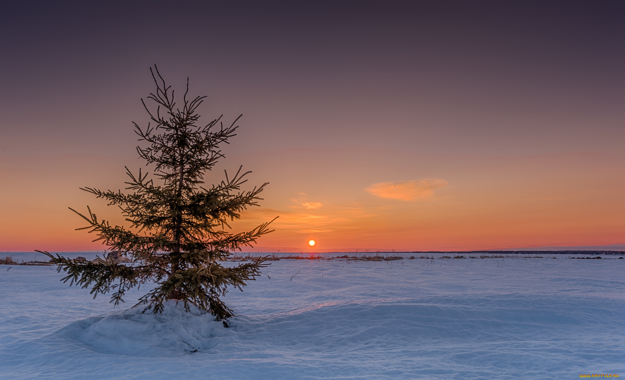 природа, зима, снег