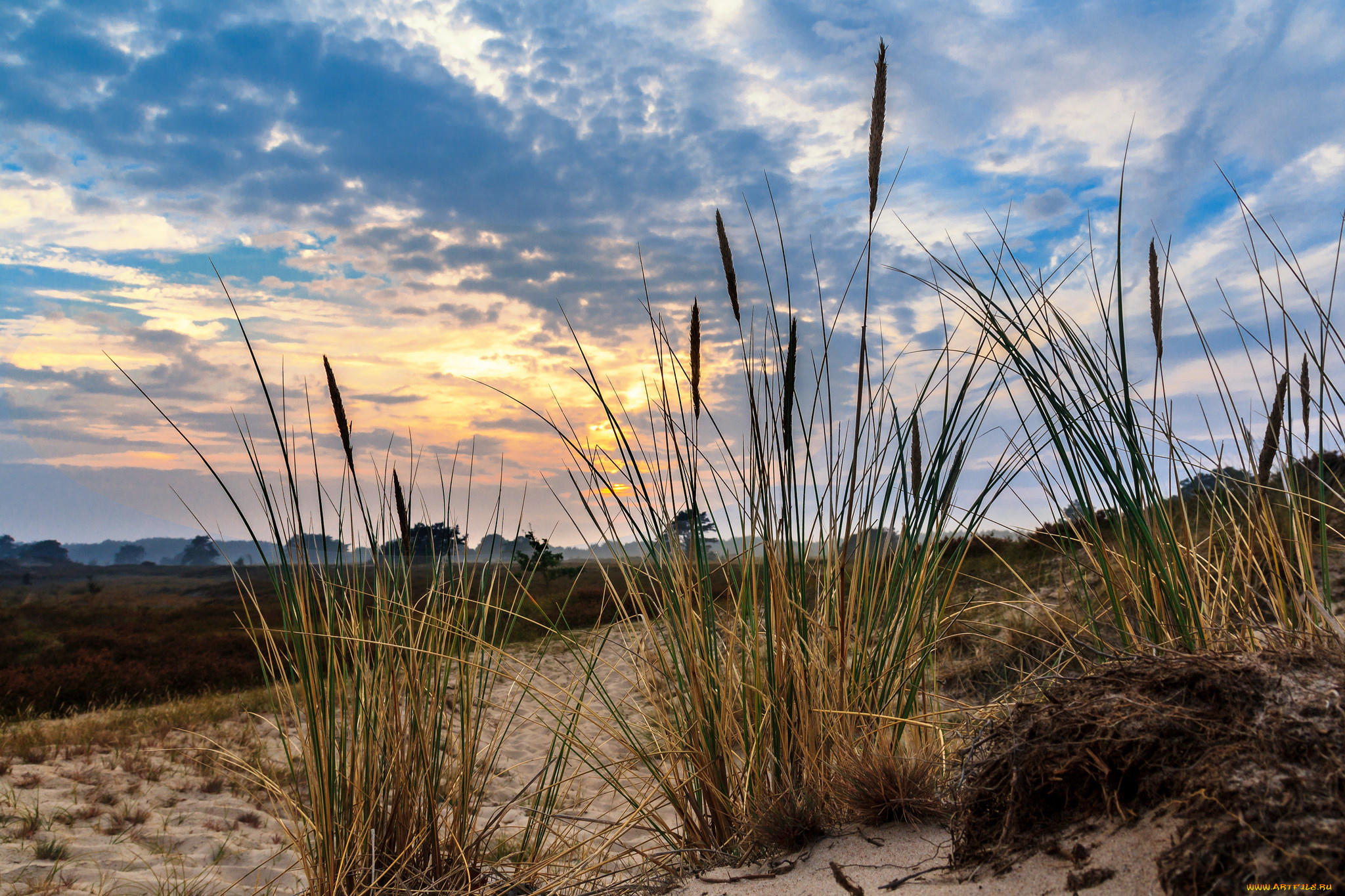 природа, восходы, закаты, рассвет