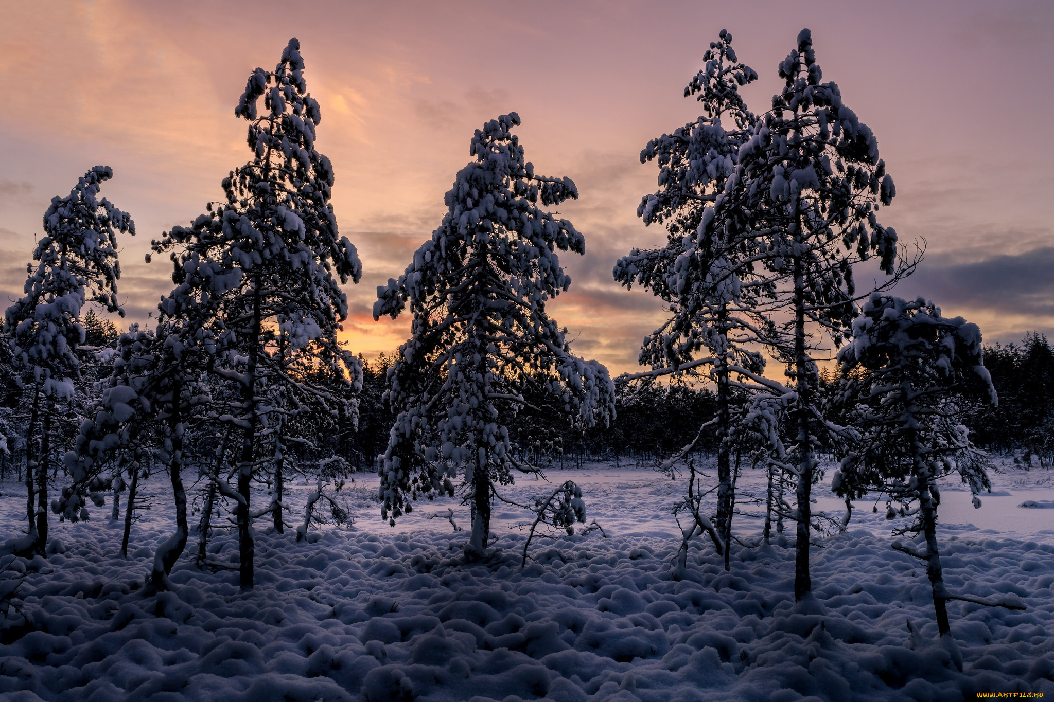 природа, зима, снег