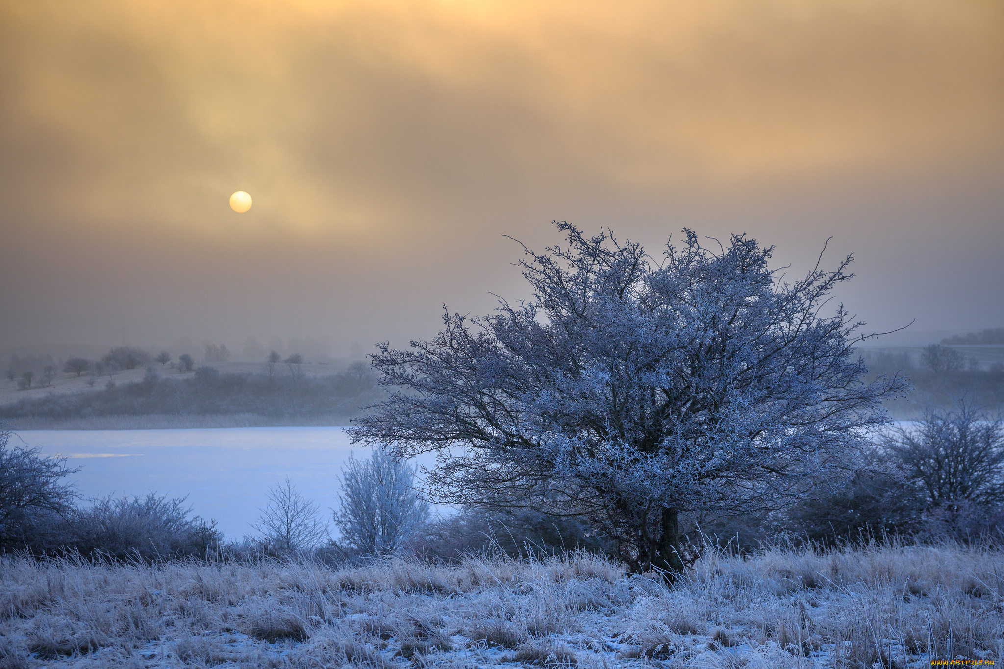 природа, зима, снег