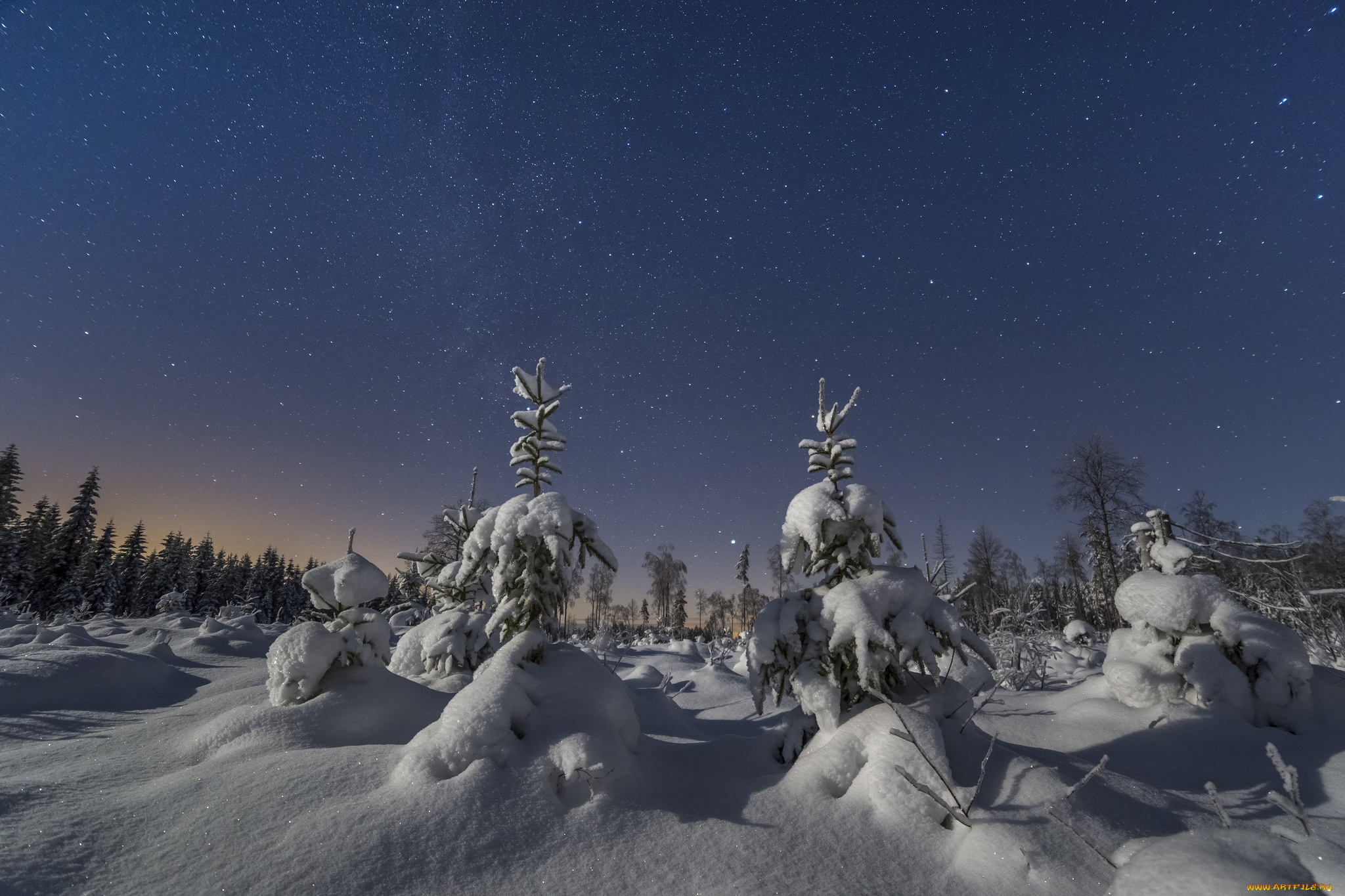 природа, зима, снег