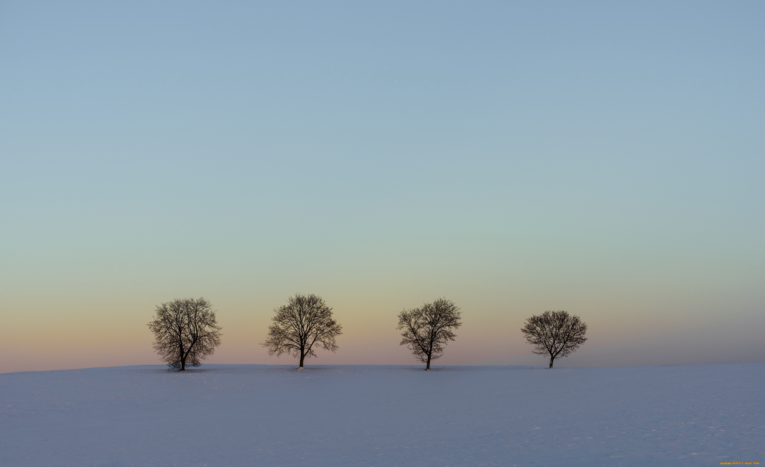 природа, зима, пейзаж, снег, деревья, поле