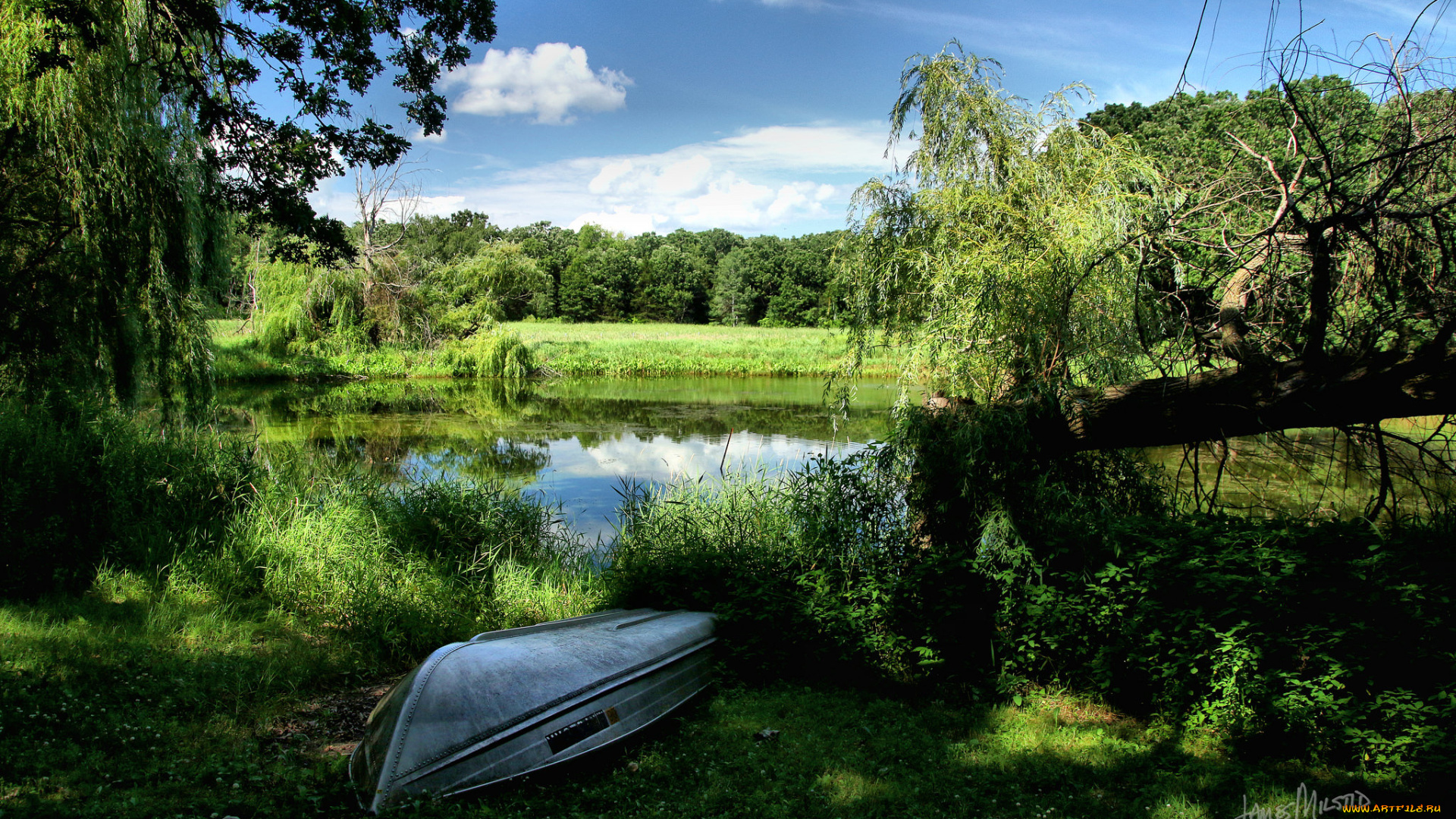 корабли, лодки, , шлюпки, лес, река