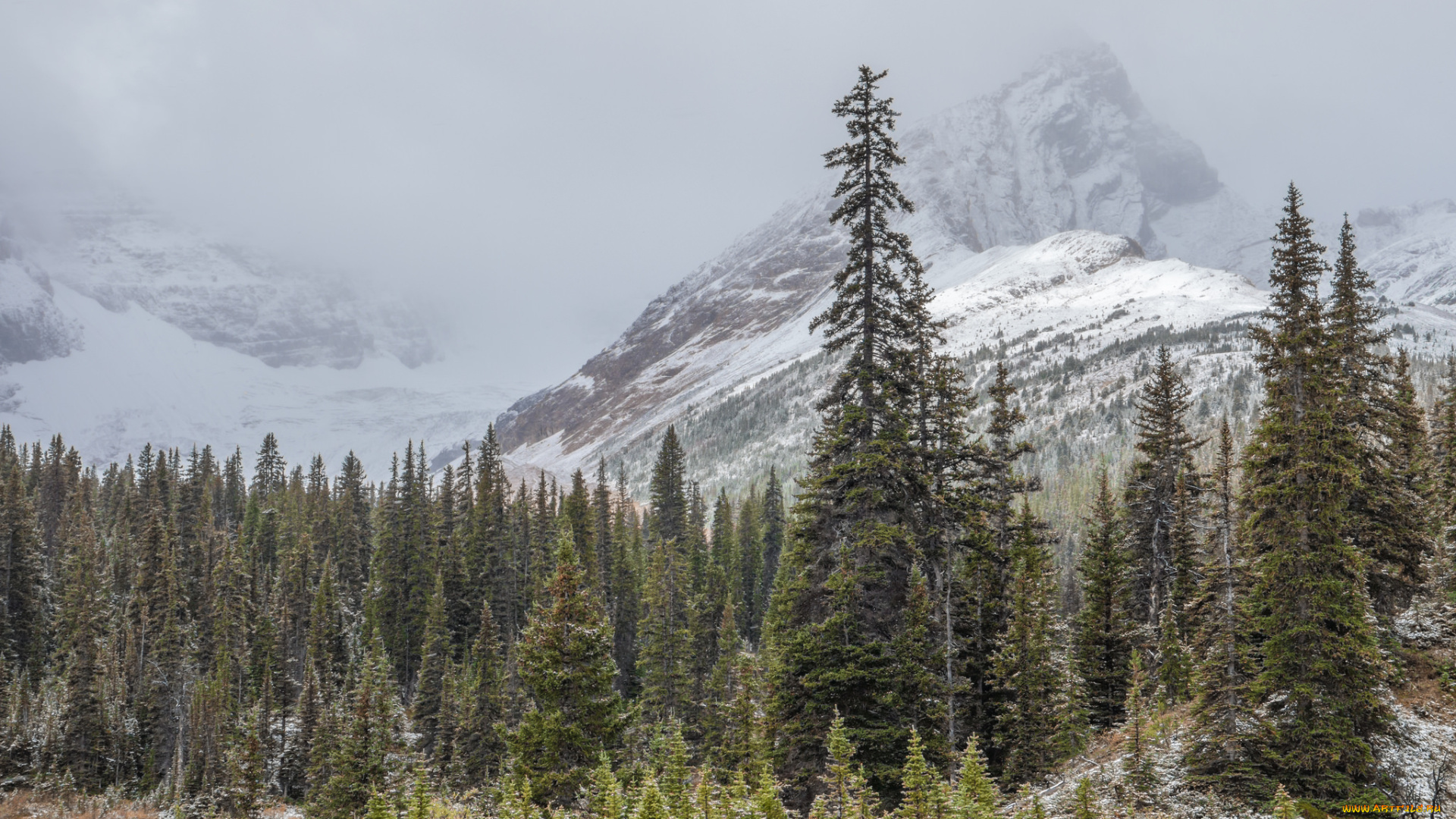 природа, горы, скалы