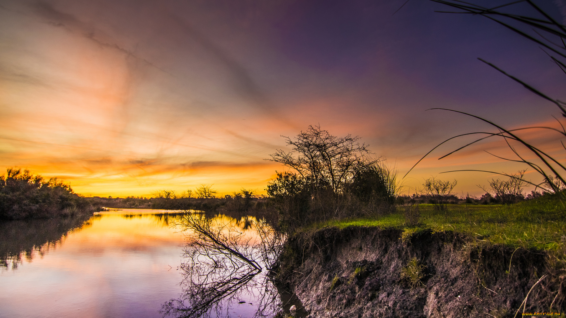 природа, реки, озера, лес, река