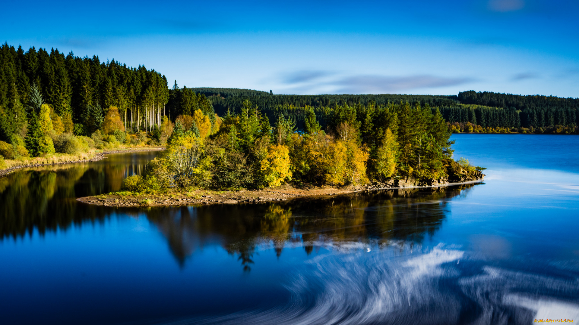 природа, реки, озера, лес, река