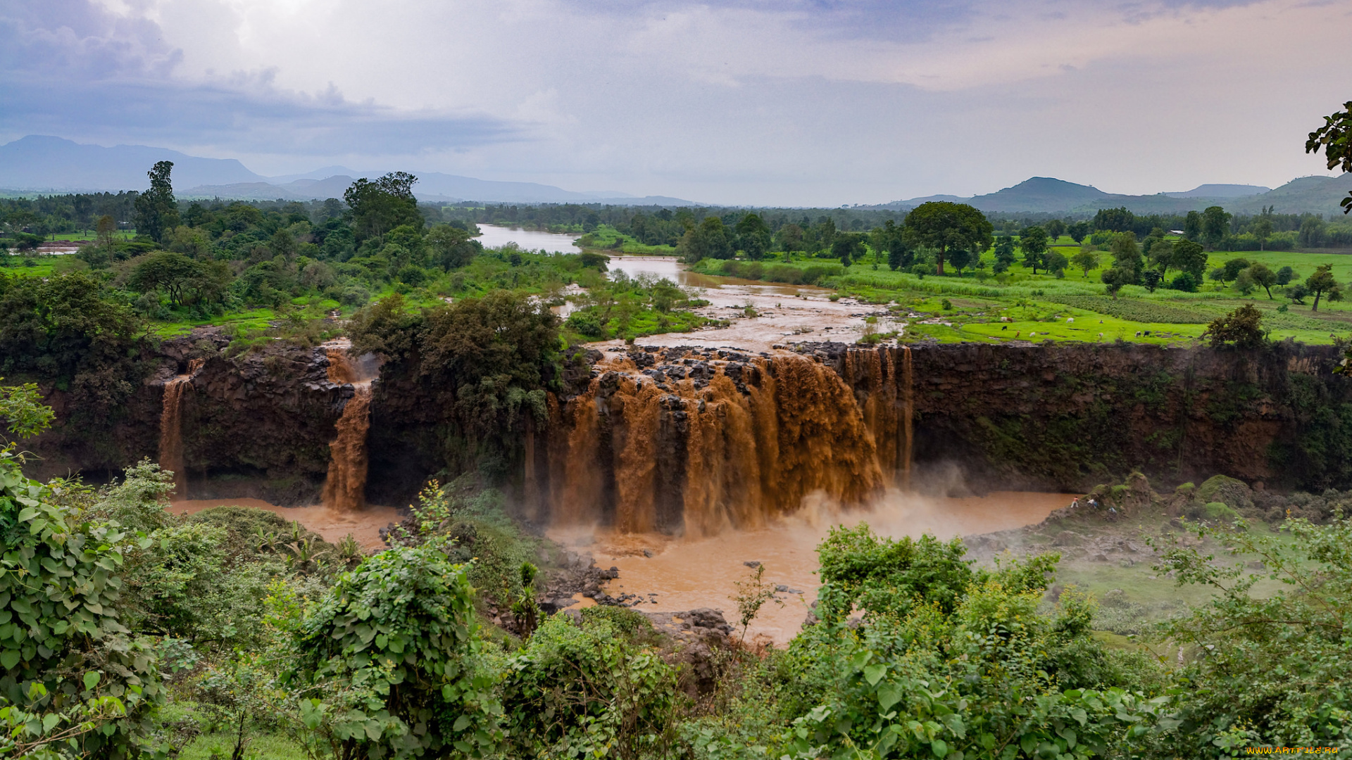 природа, водопады, лес, река, водопад