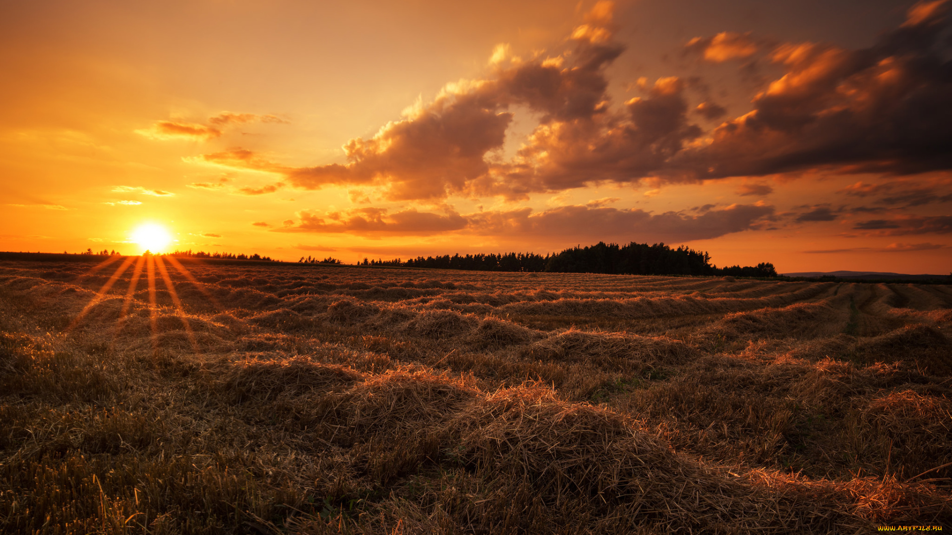природа, восходы, закаты, рассвет