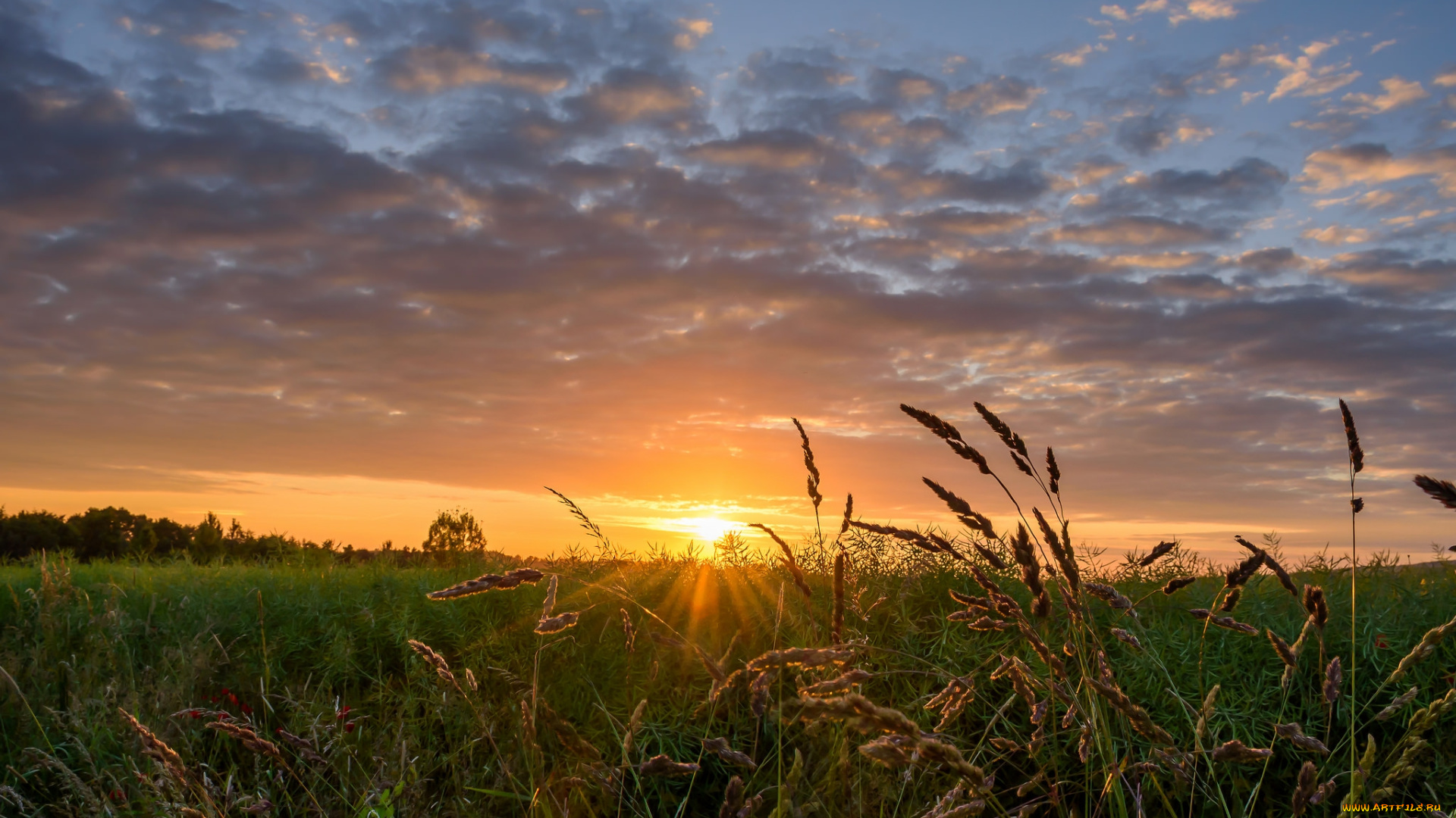 природа, восходы, закаты, рассвет
