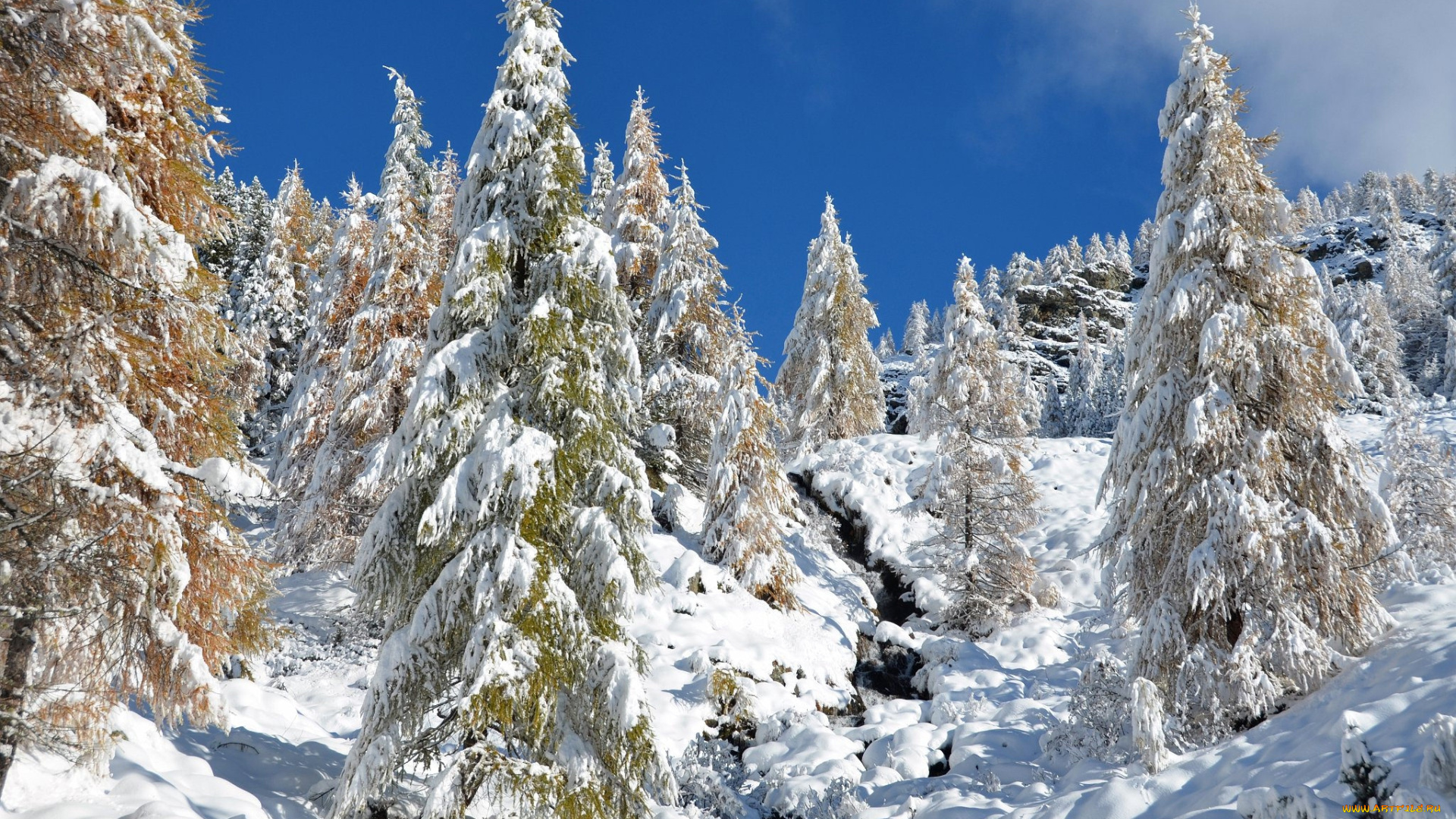 природа, зима, снег