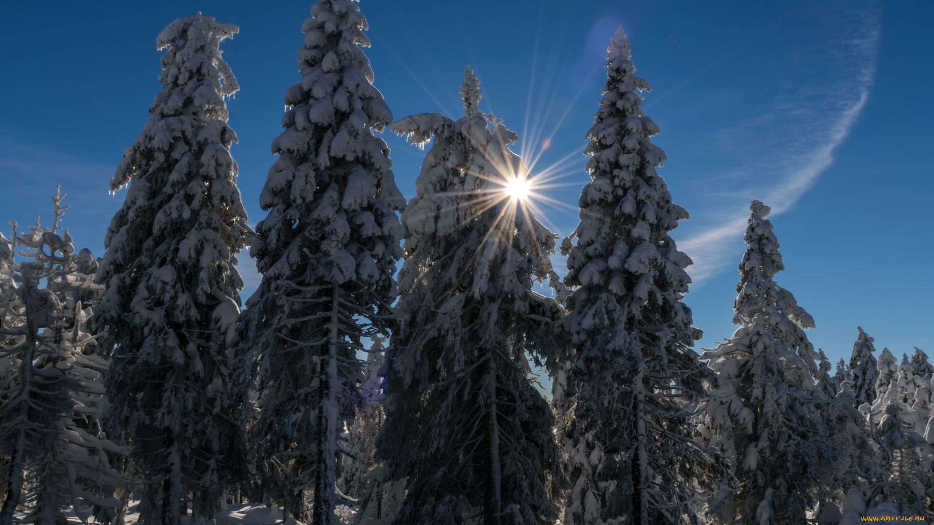 природа, зима, снег