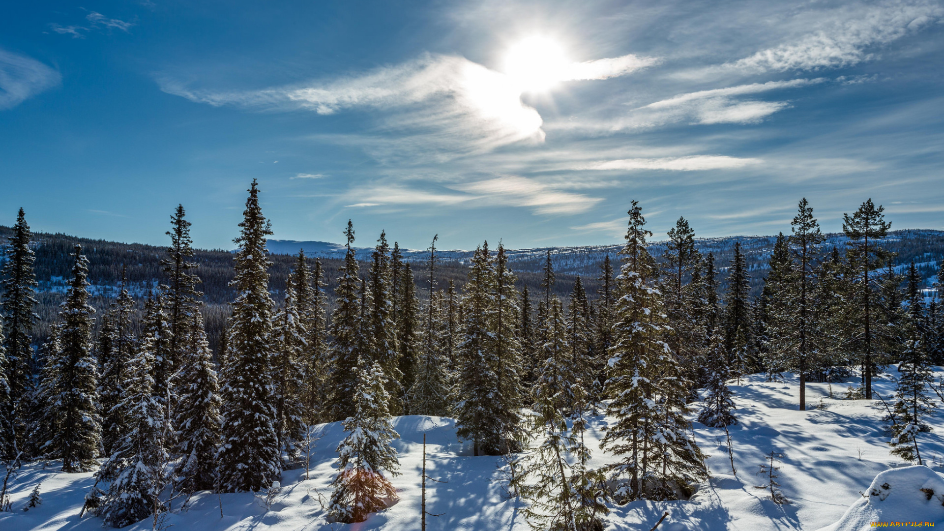 природа, зима, снег