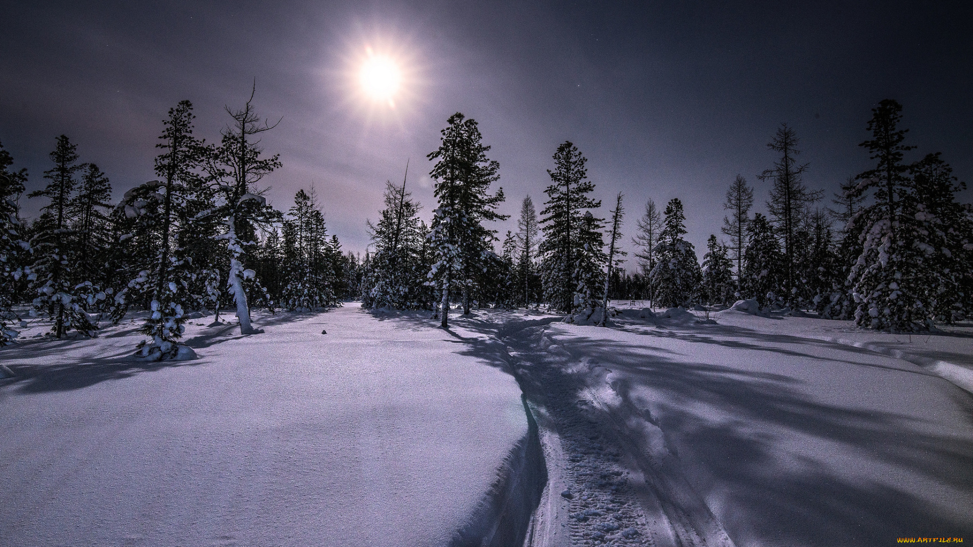 природа, зима, снег