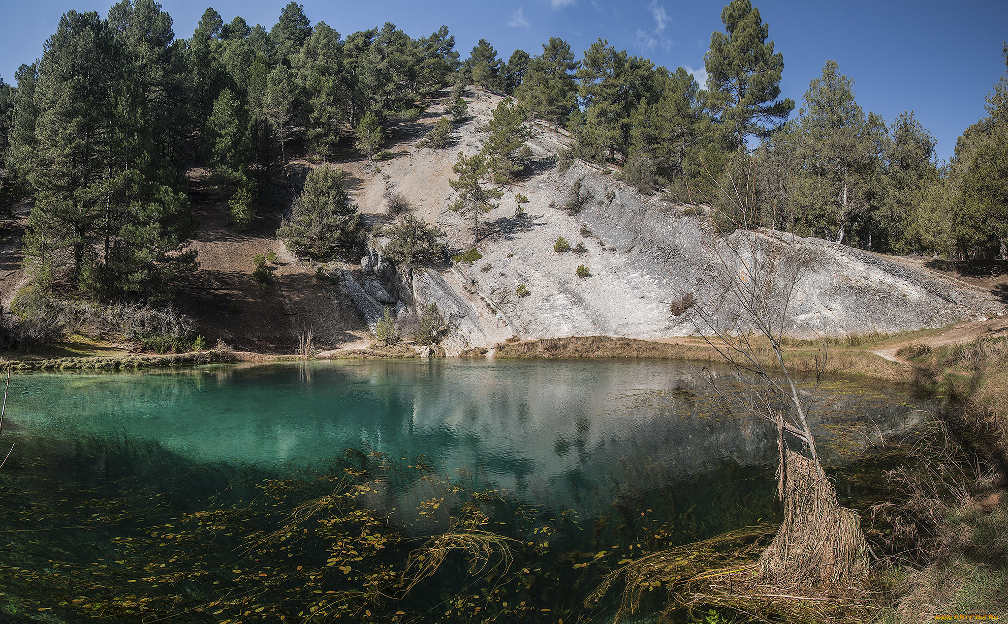 природа, реки, озера, лес, река