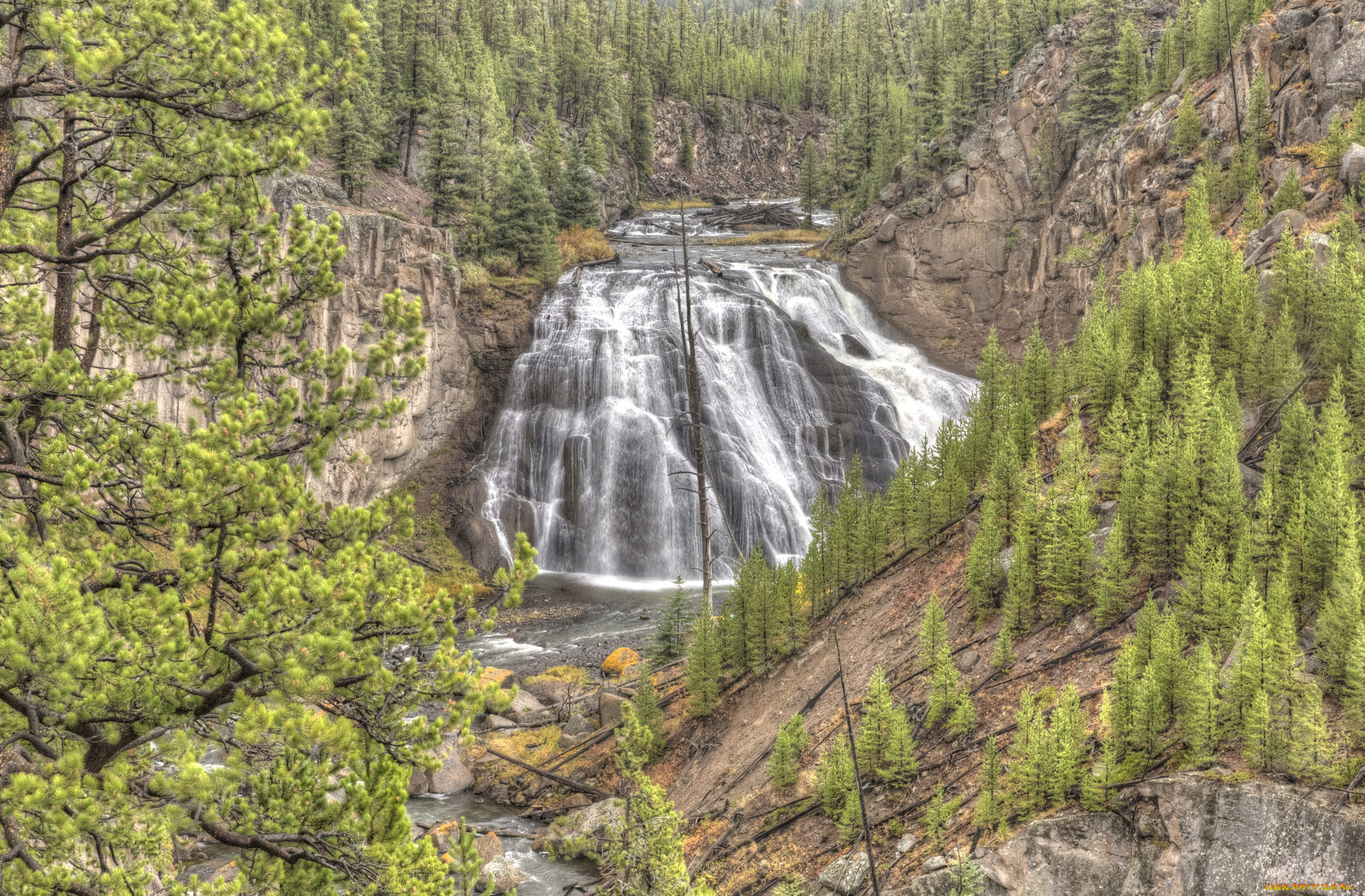 природа, водопады, лес, река, водопад