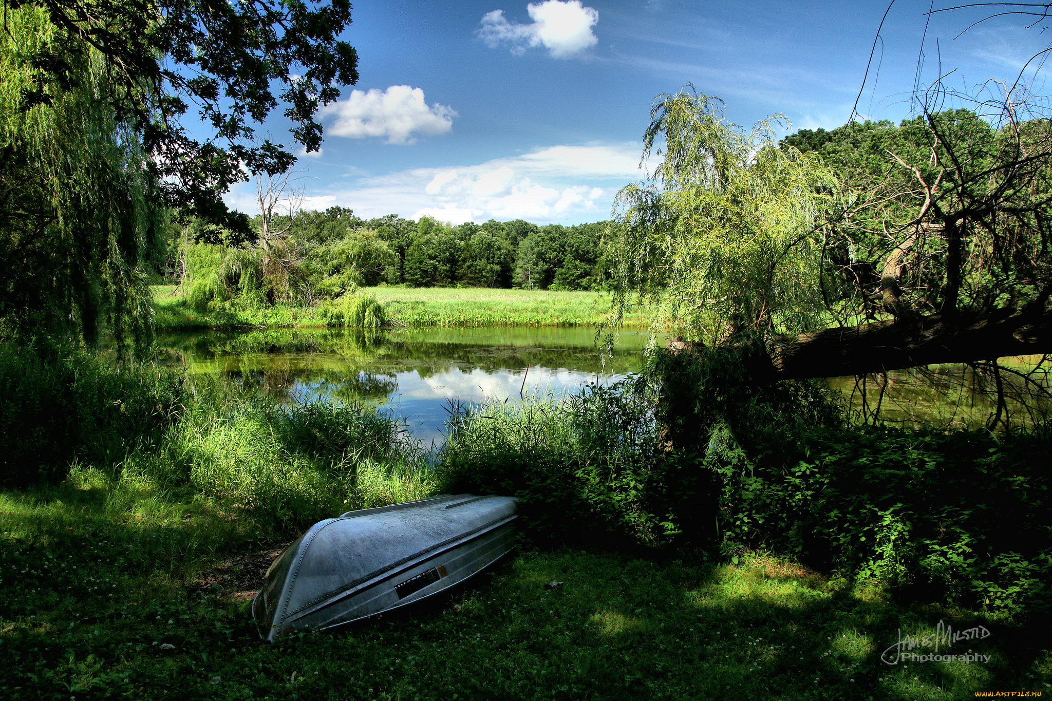 корабли, лодки, , шлюпки, лес, река