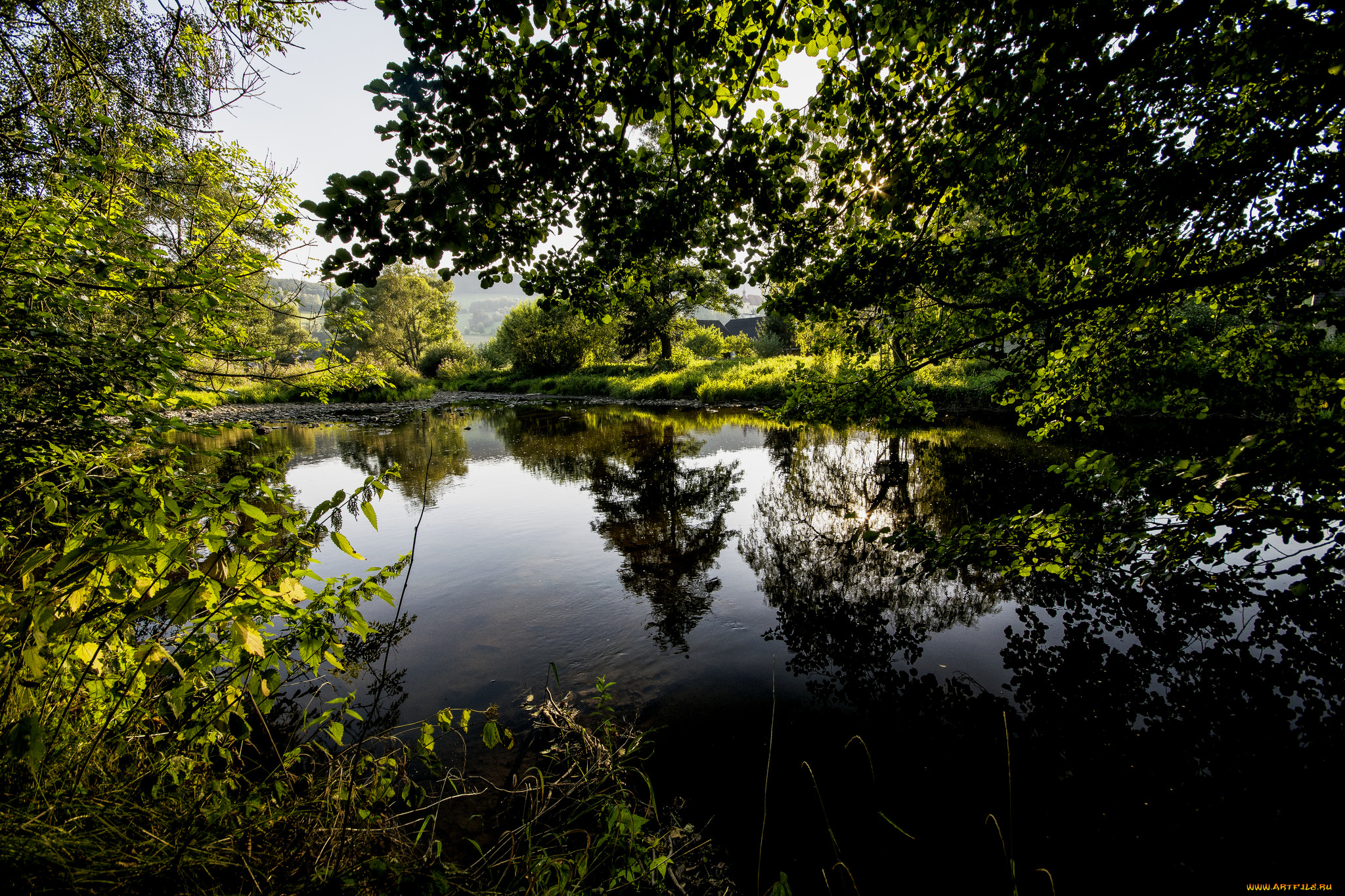 природа, реки, озера, лес, река