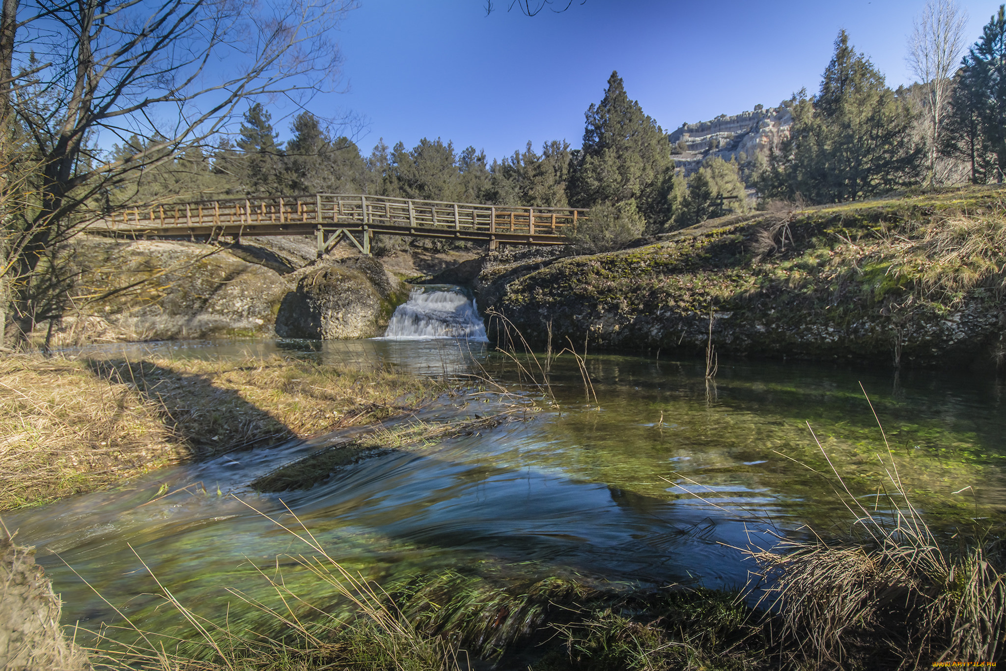 природа, реки, озера, река, лес