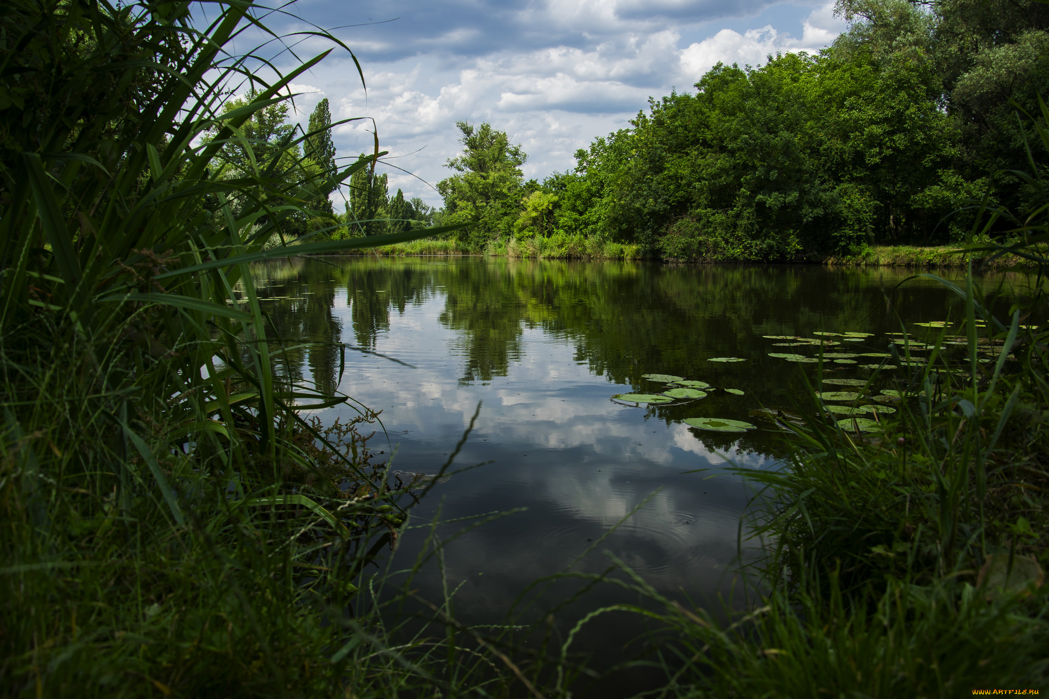 природа, реки, озера, река, лес