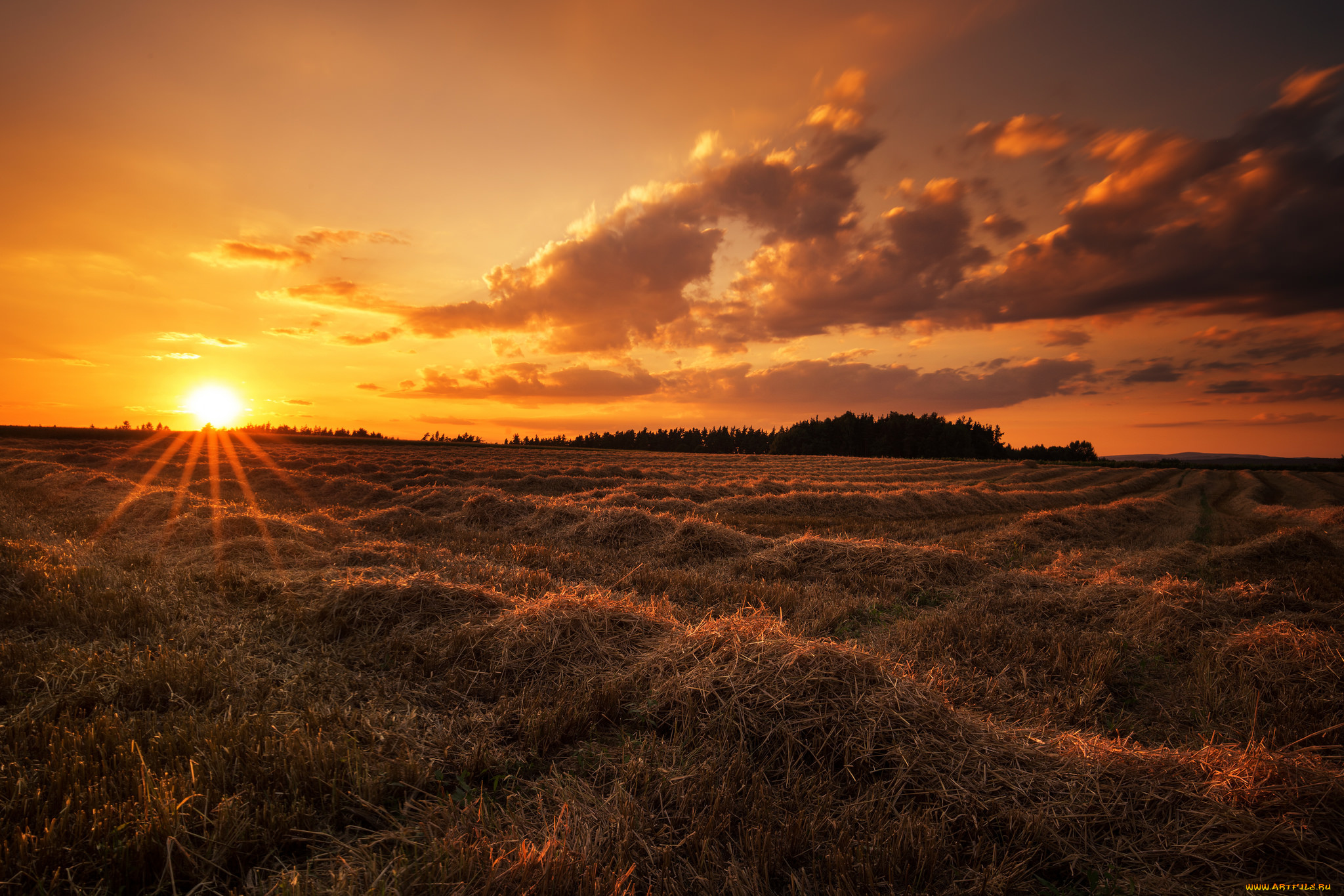 природа, восходы, закаты, рассвет