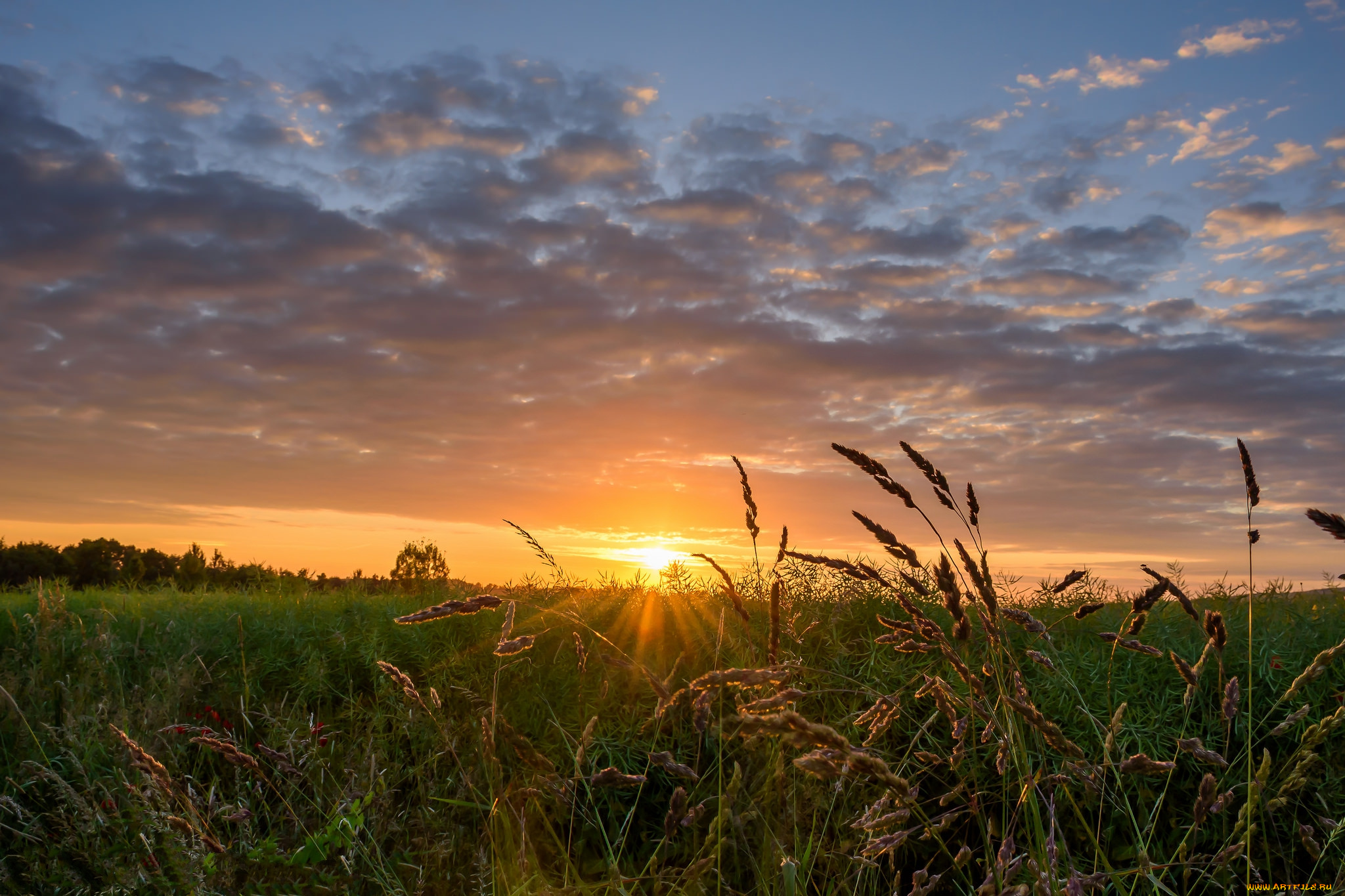 природа, восходы, закаты, рассвет