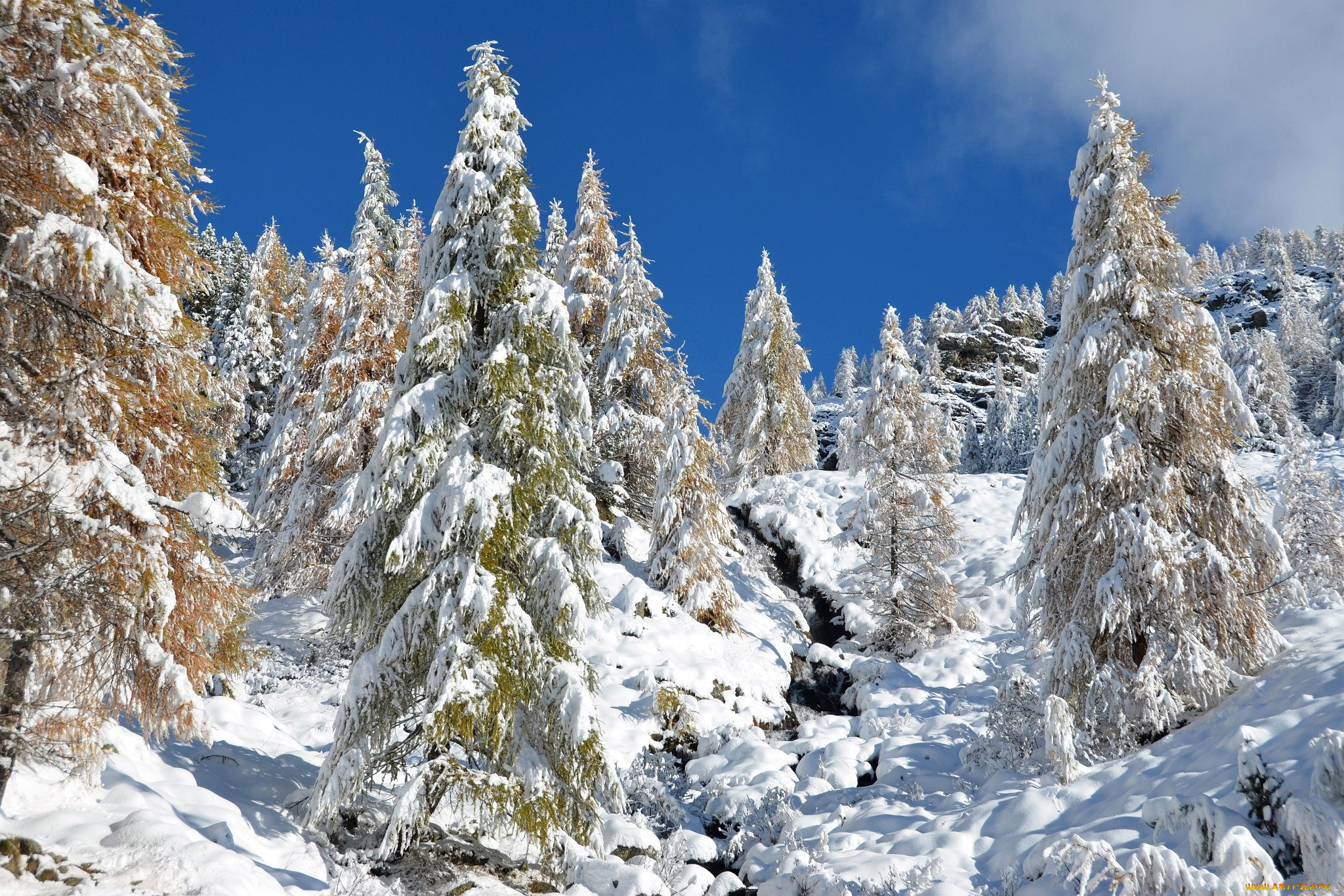 природа, зима, снег