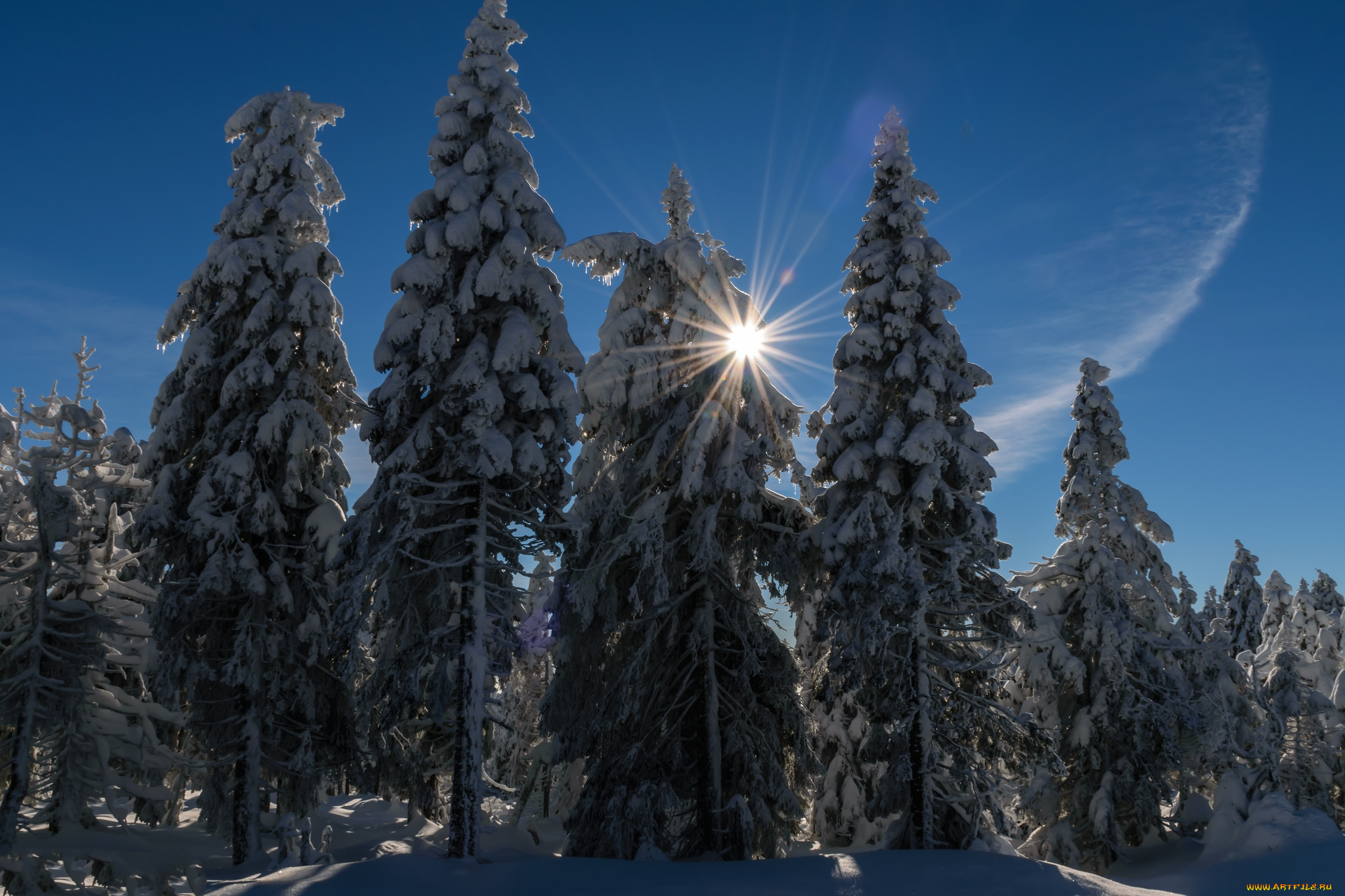 природа, зима, снег