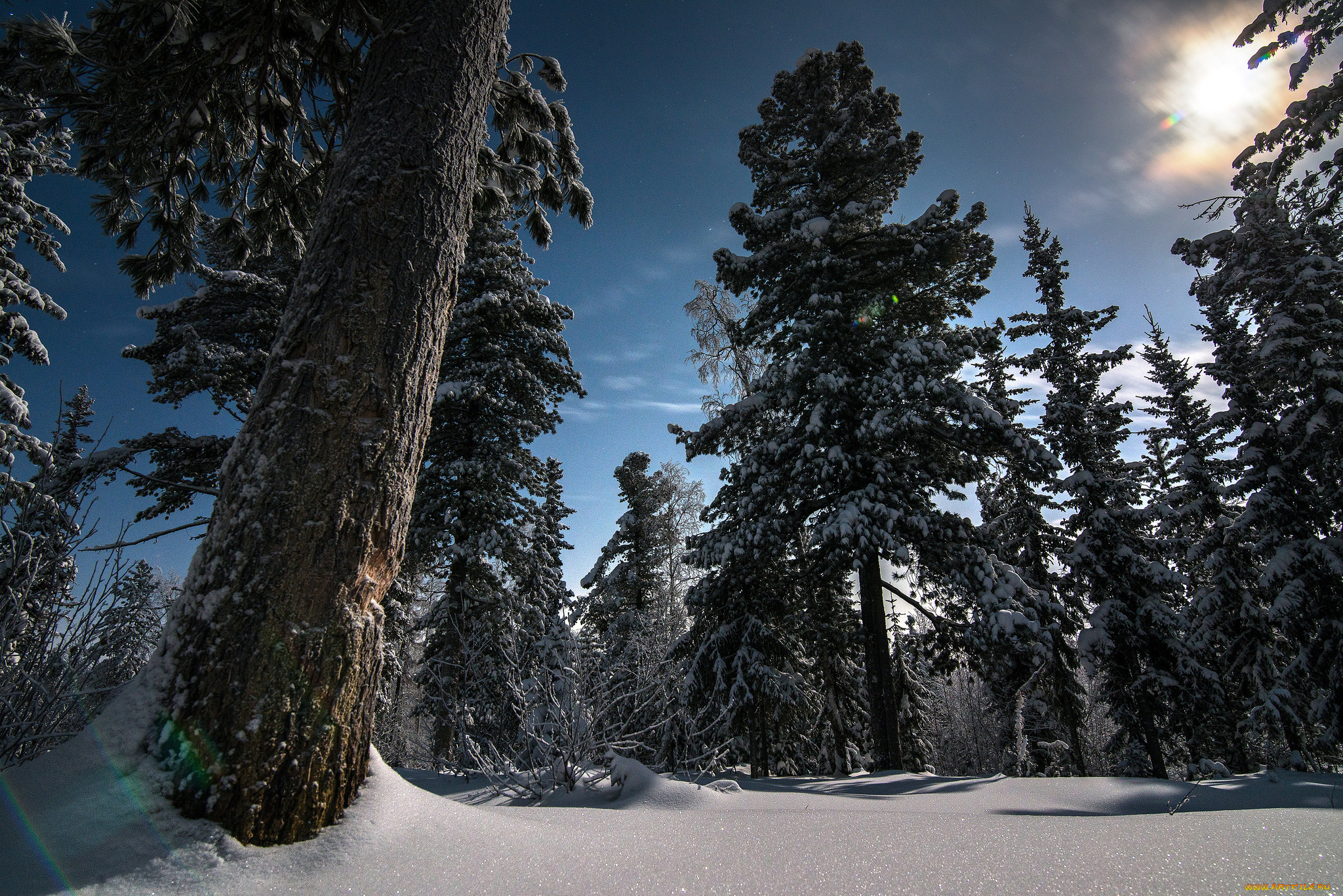 природа, зима, снег