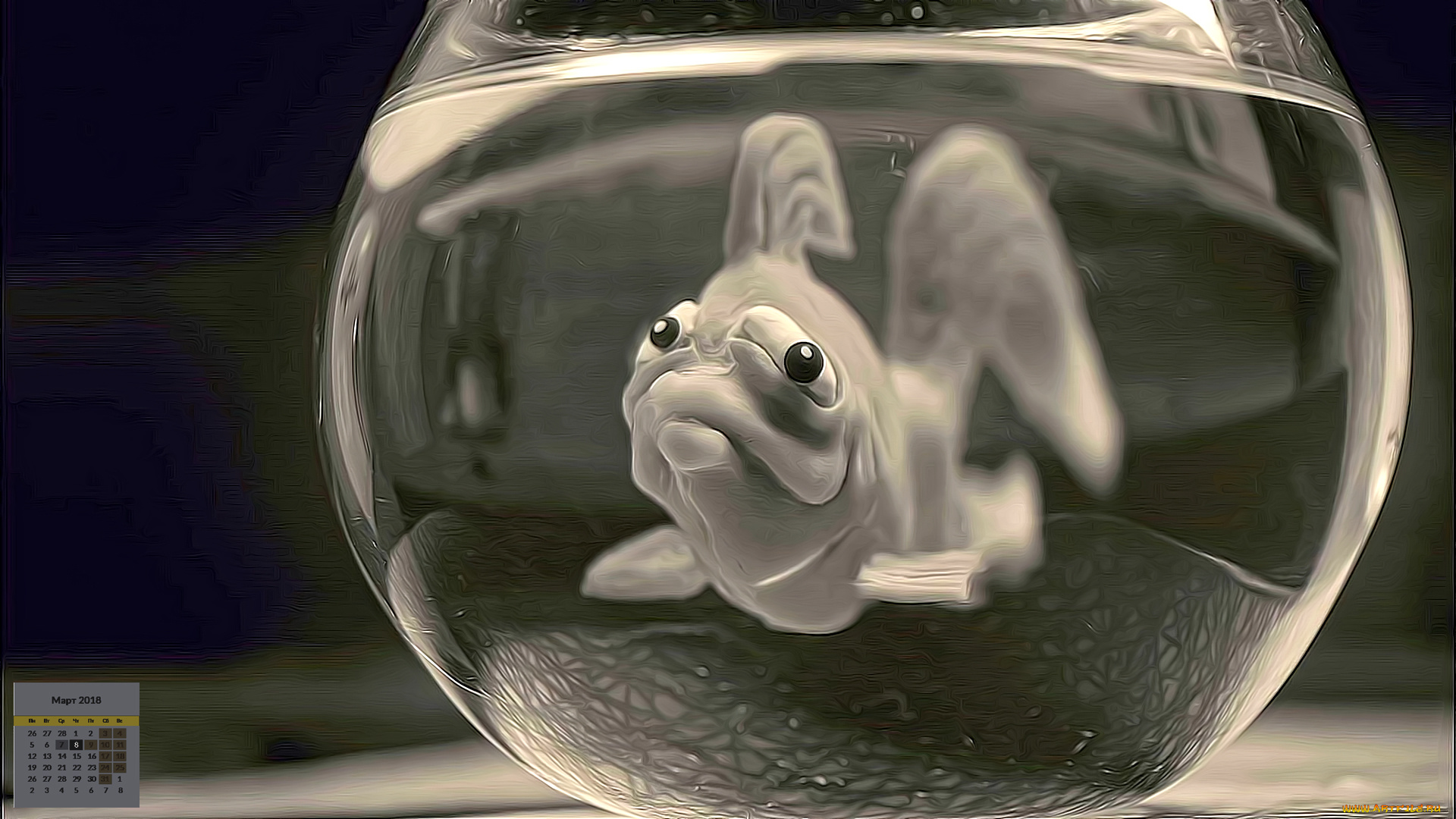 календари, кино, , мультфильмы, рыба, взгляд, аквариум, 2018