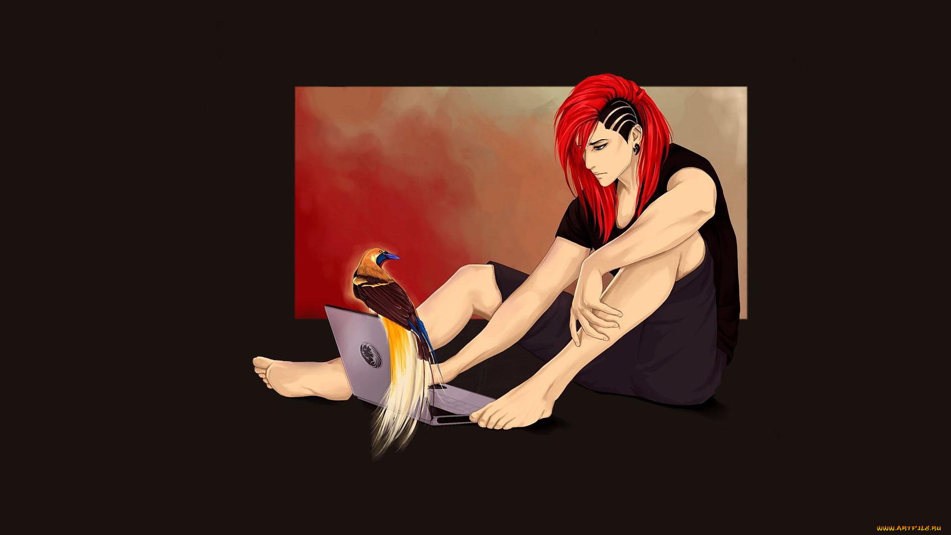 аниме, животные, , существа, ноутбук, птица, прическа, парень