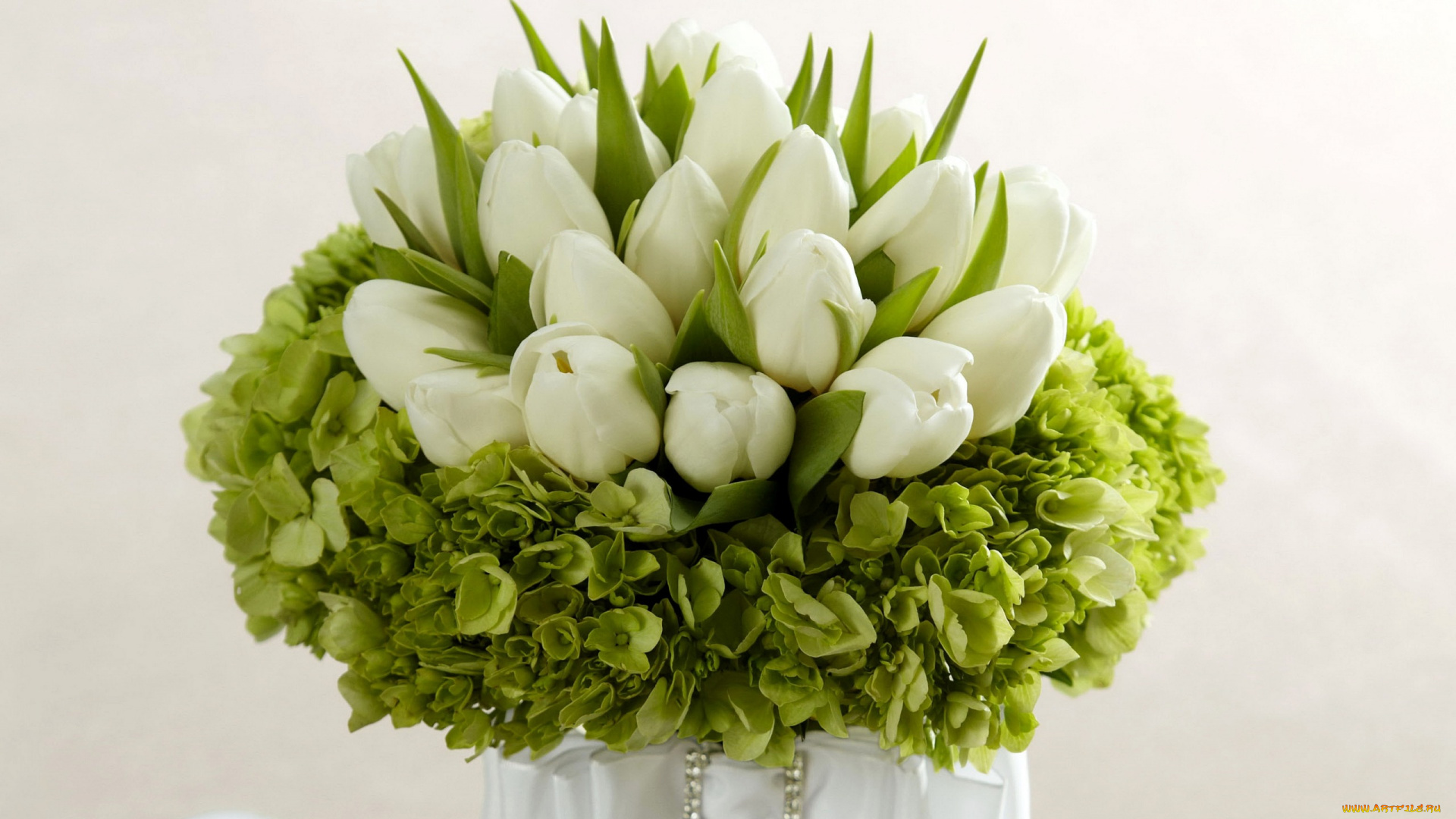 цветы, букеты, , композиции, гортензия, тюльпаны