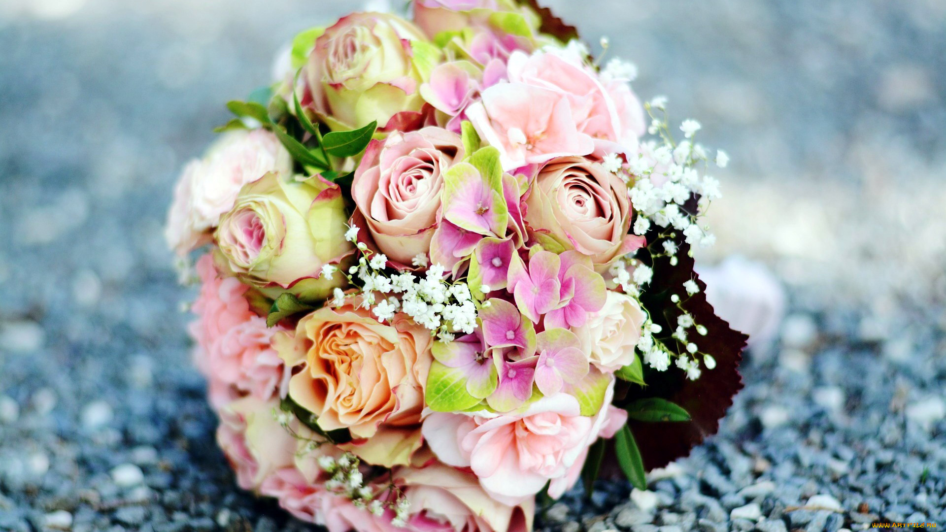 цветы, букеты, , композиции, розы, гортензия