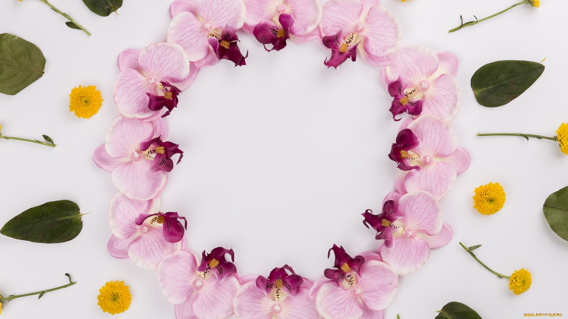 цветы, композиция