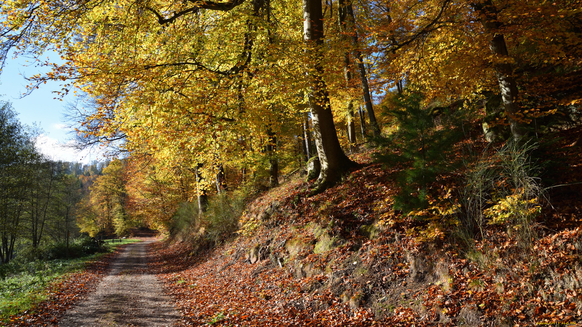 природа, дороги, простор