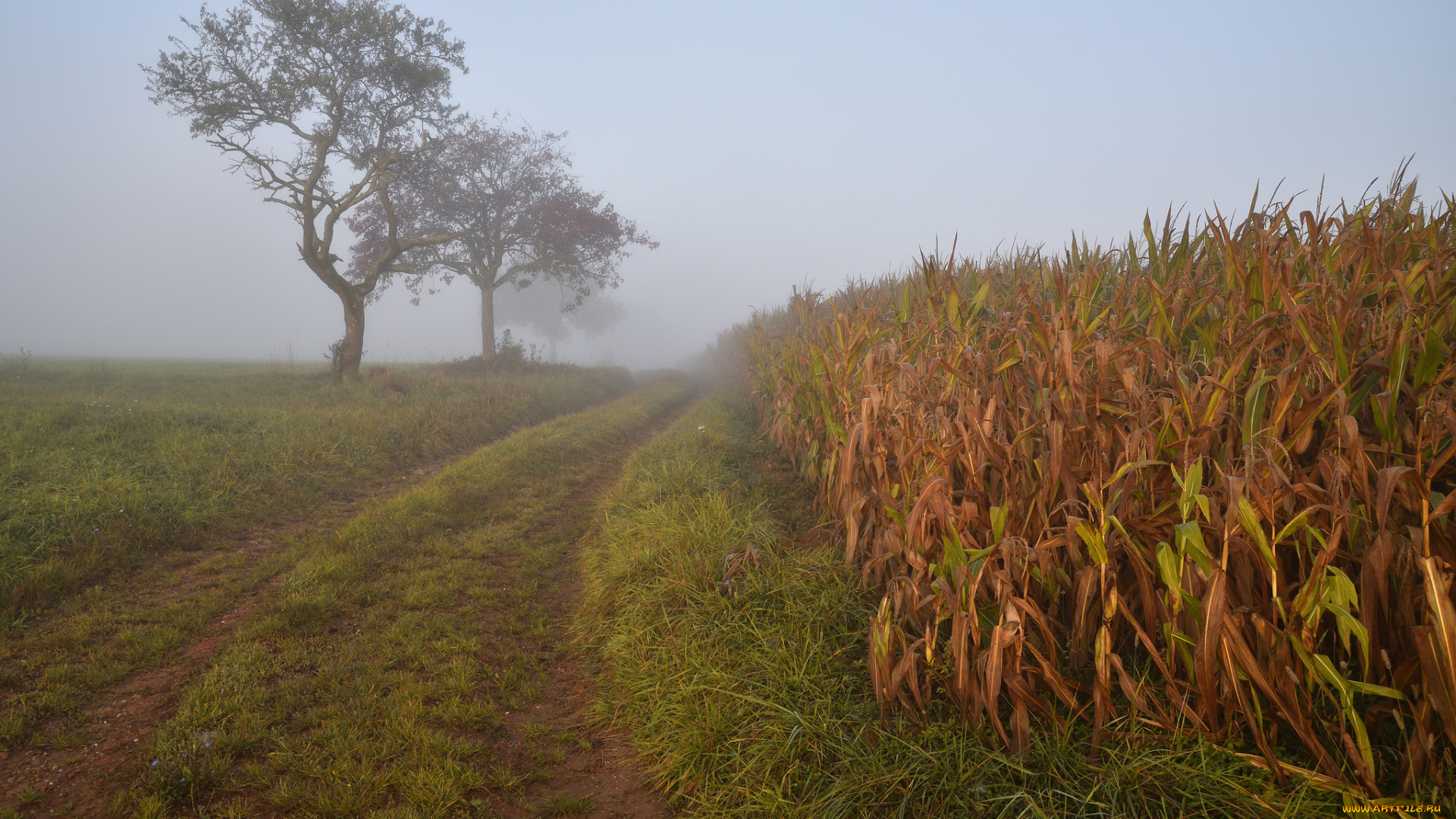 природа, дороги, простор