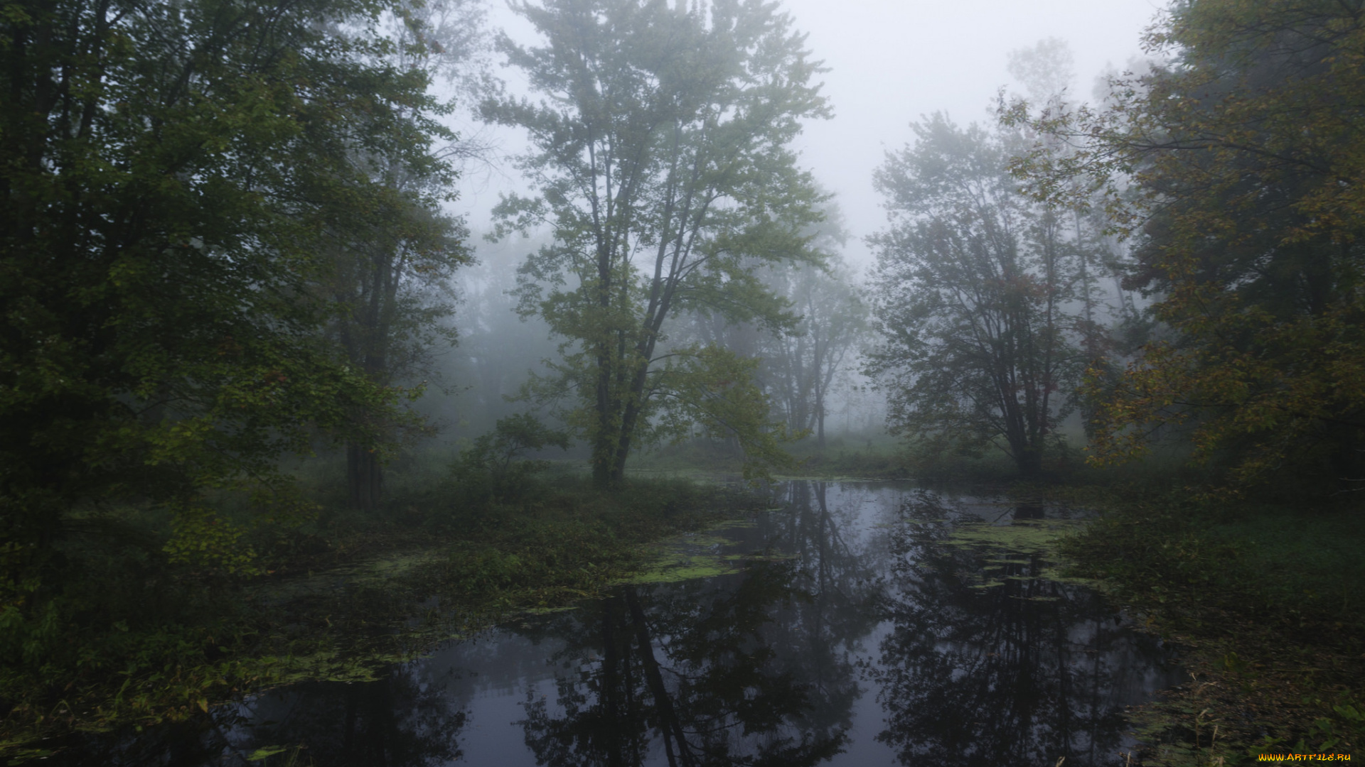 природа, реки, озера, простор