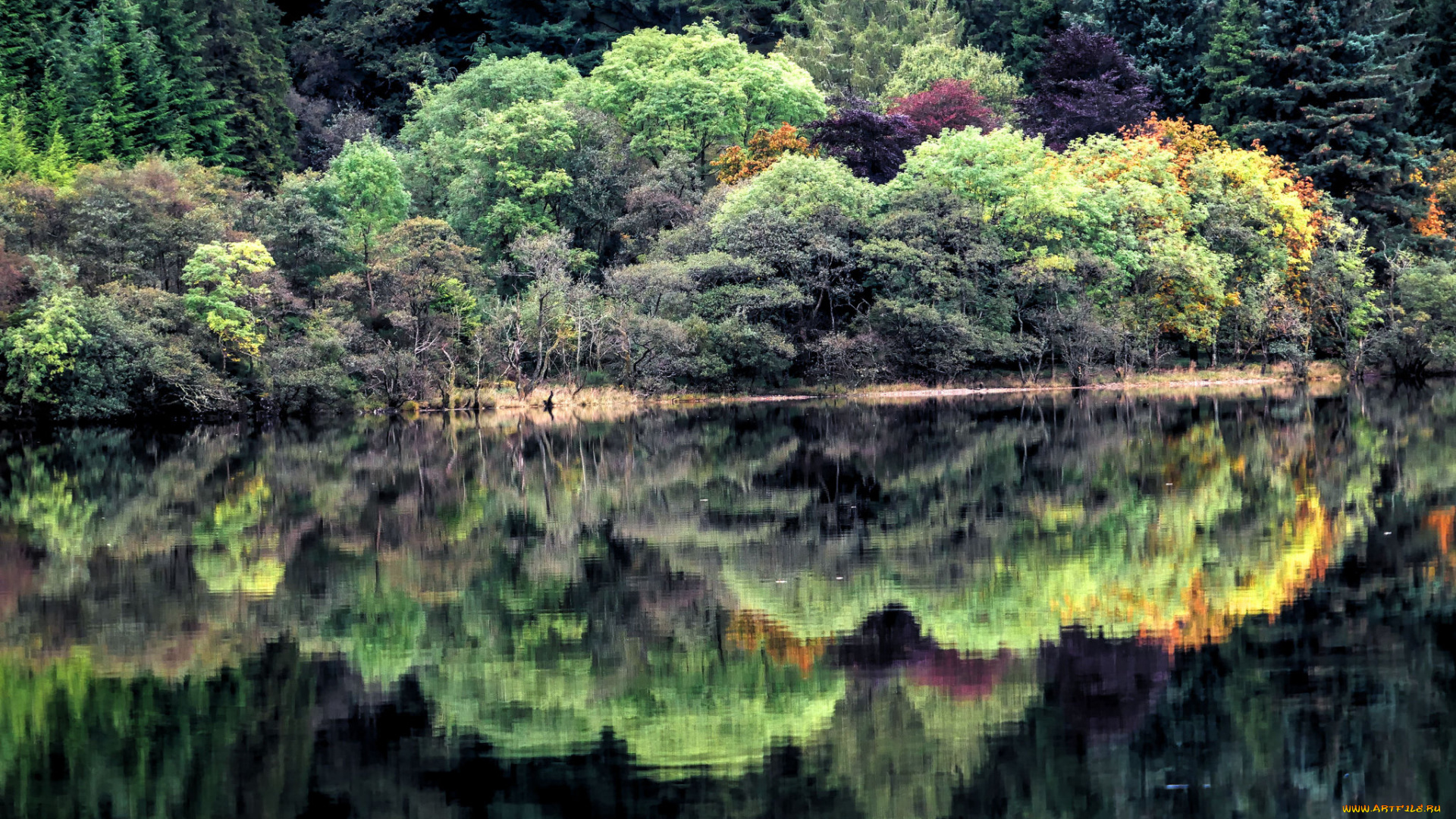 природа, реки, озера, простор