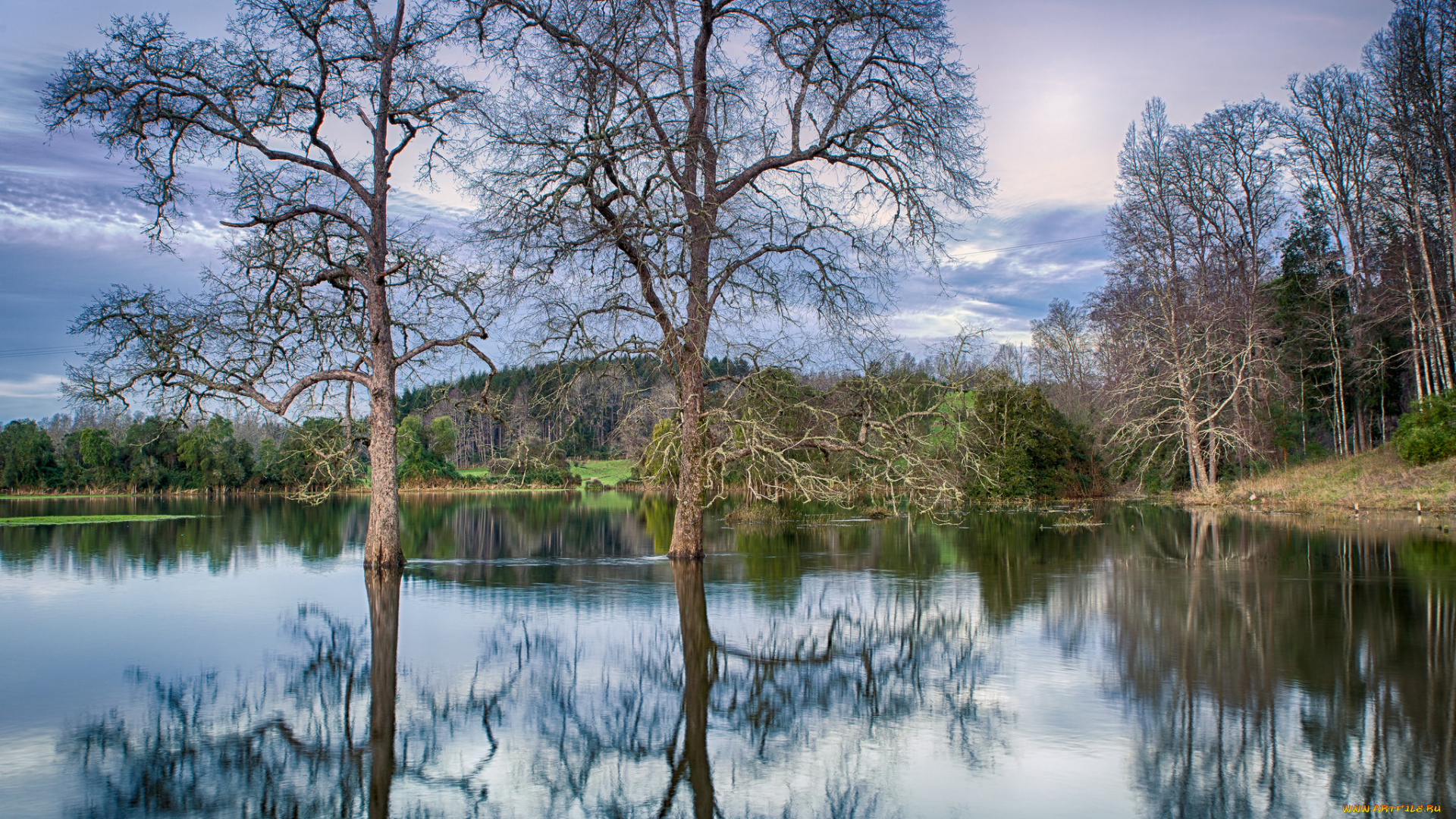 природа, реки, озера, простор