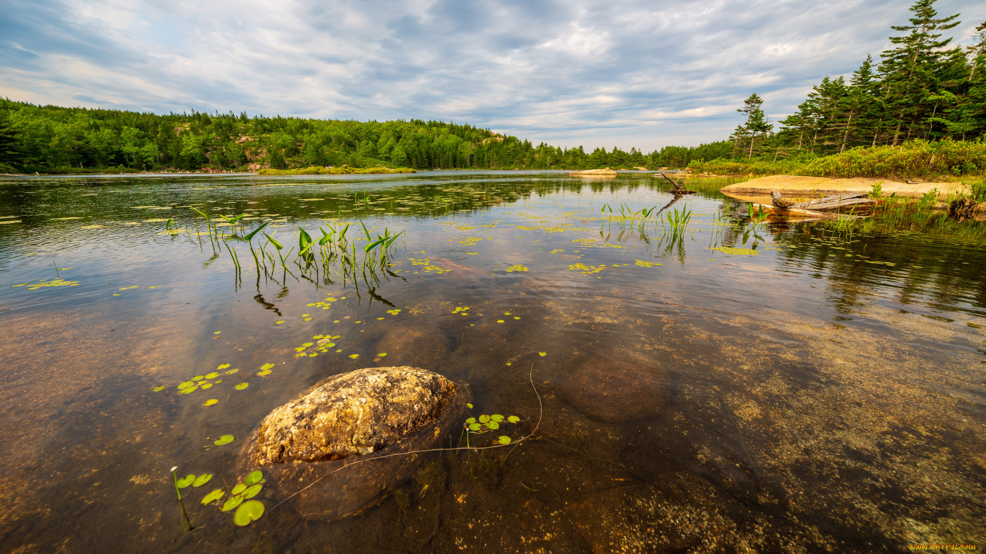 природа, реки, озера, простор