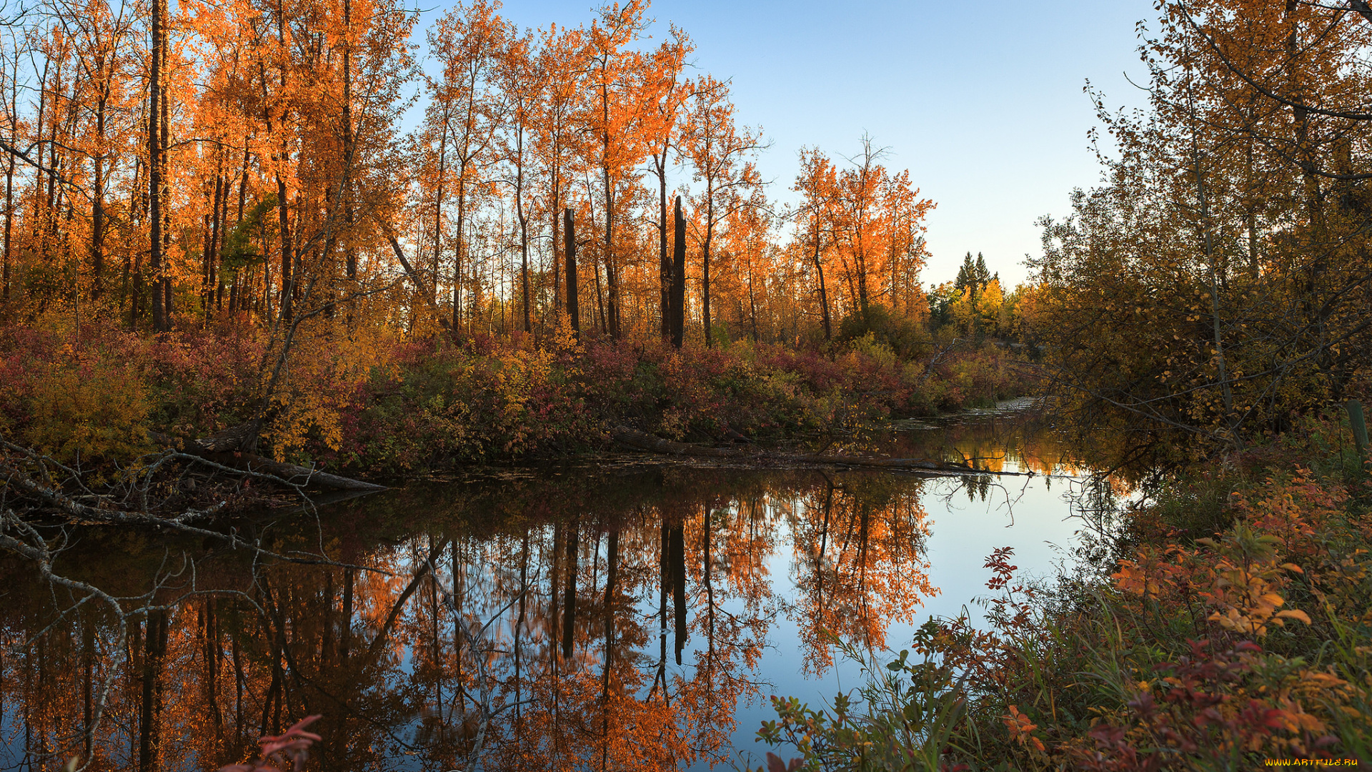 природа, реки, озера, простор